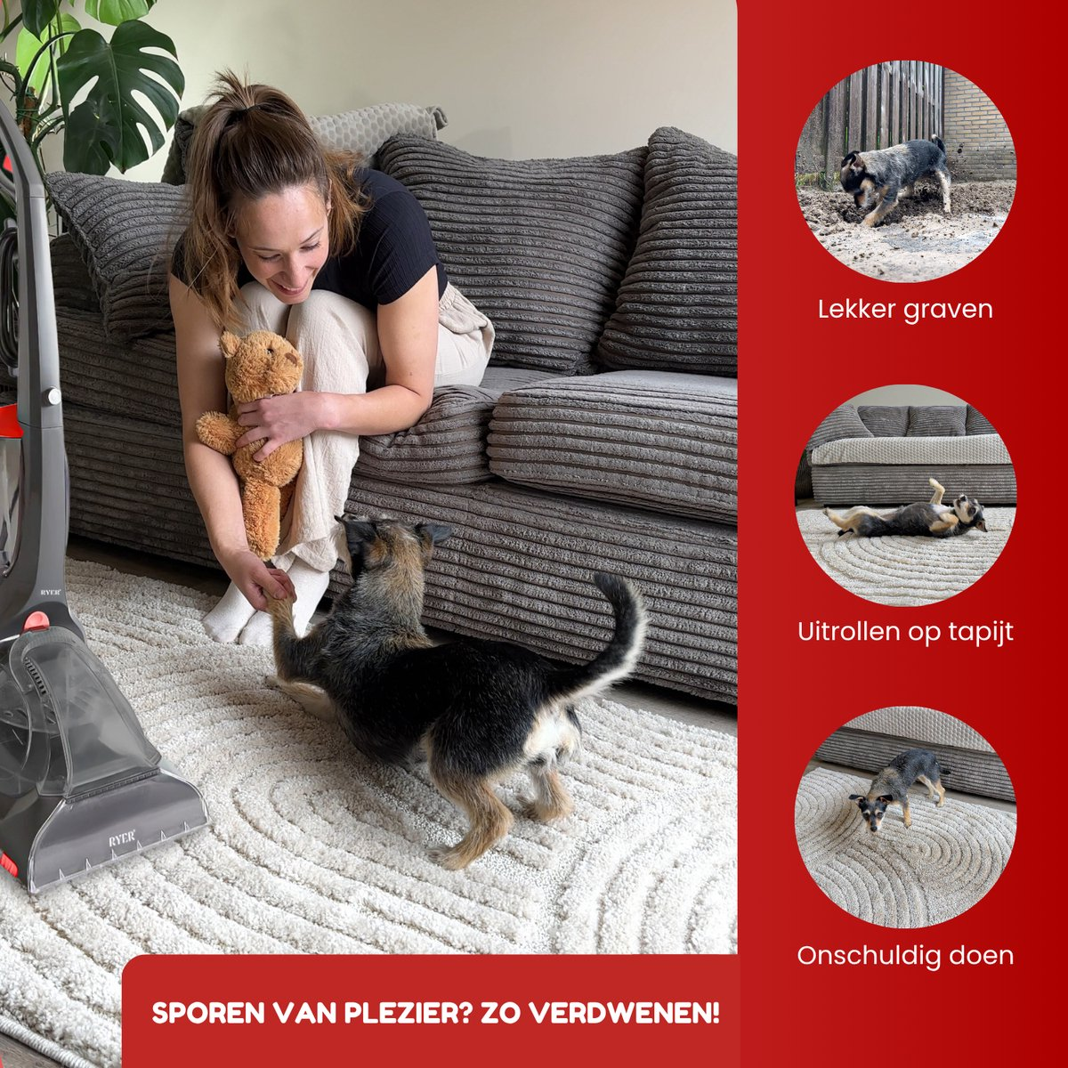 A woman sits with a teddy bear. A dog plays on a white rug. A vacuum cleaner is visible. Additional images show dog activities.