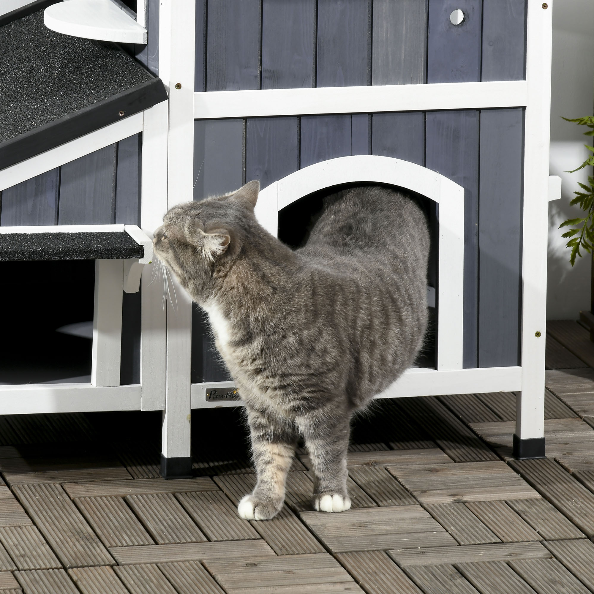 Un gato gris entra en una casa para gatos gris y blanca. El gato está rayado. La casa está en una terraza de madera.