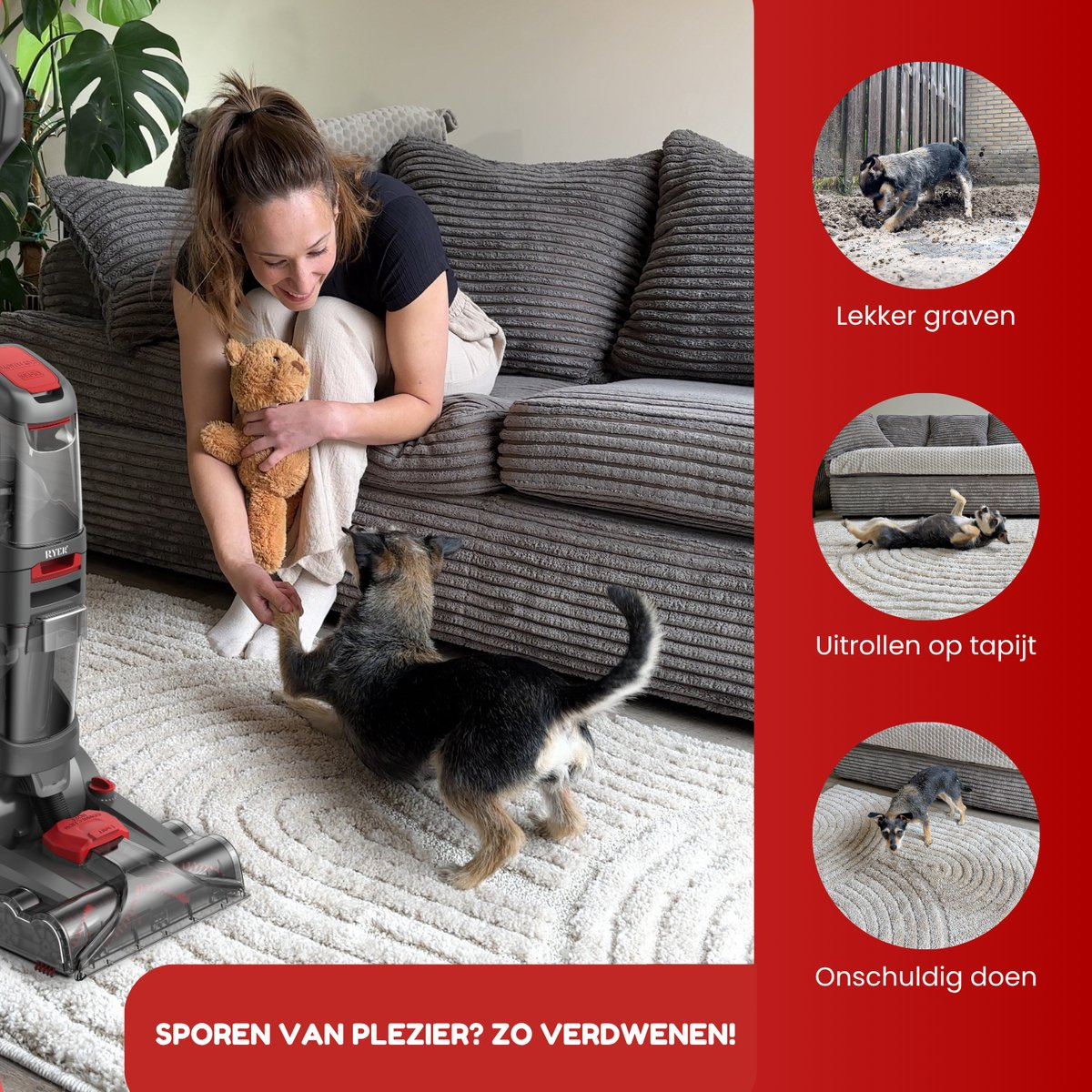 A woman sits on a sofa with a dog on a rug. The dog is playing. Inset images show the dog digging, rolling, and being innocent.