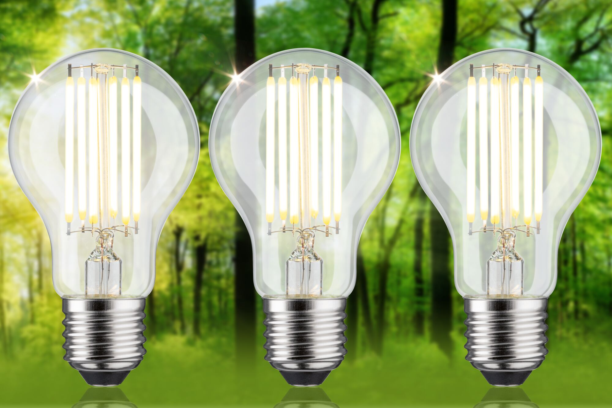 Drei leuchtende LED-Glühbirnen mit silbernen Sockeln vor einem verschwommenen grünen Waldbild. Die Glühbirnen sind klar.