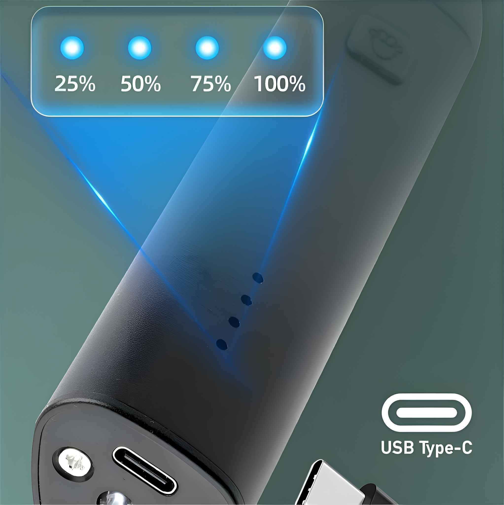 Schwarze Powerbank mit USB-Typ-C-Anschluss. Die Batterieanzeige zeigt 4 Lichter, was 100 % Ladung anzeigt.