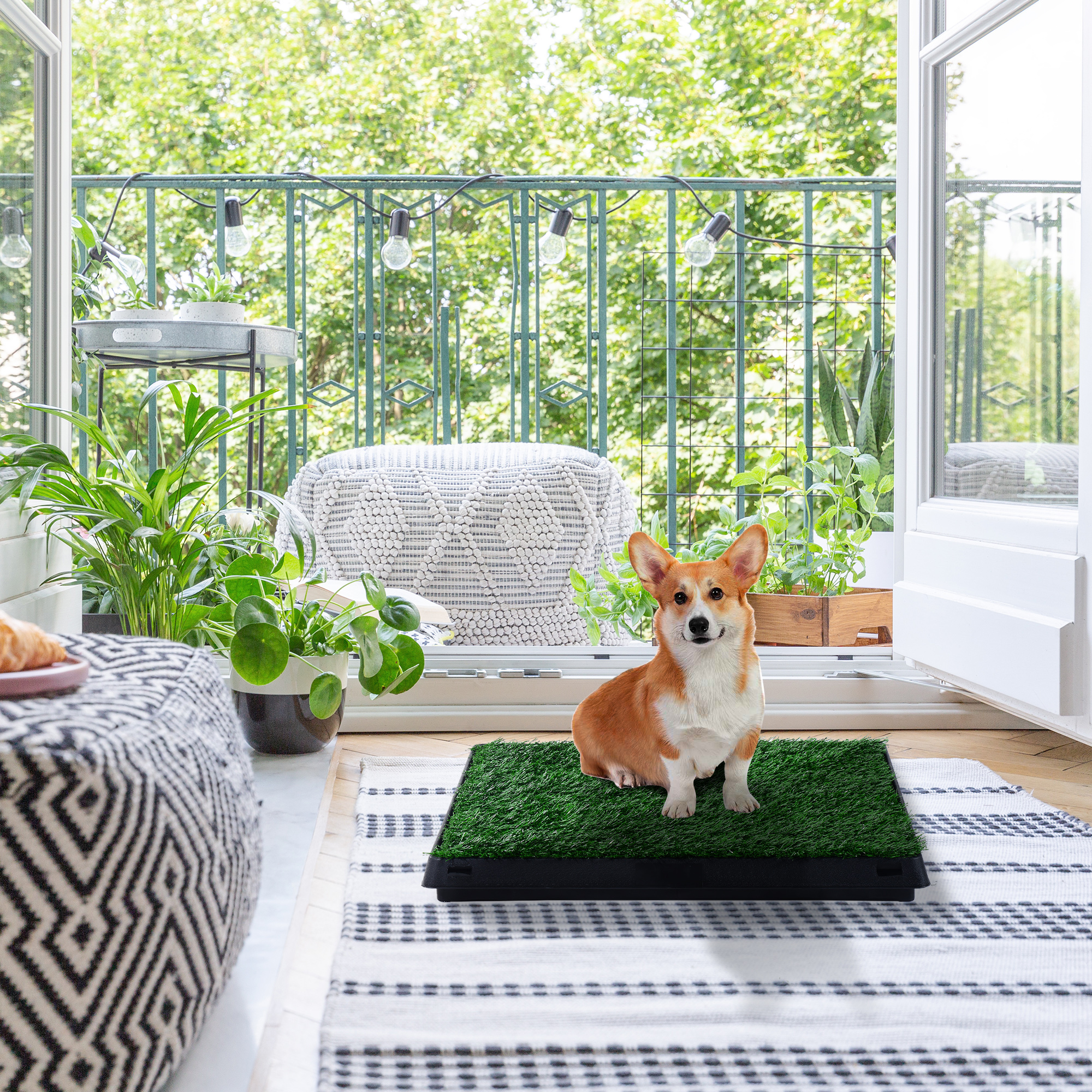 Un Corgi está sentado en una almohadilla de césped. La escena es un balcón con plantas y una alfombra blanca y negra. Árboles verdes al fondo.