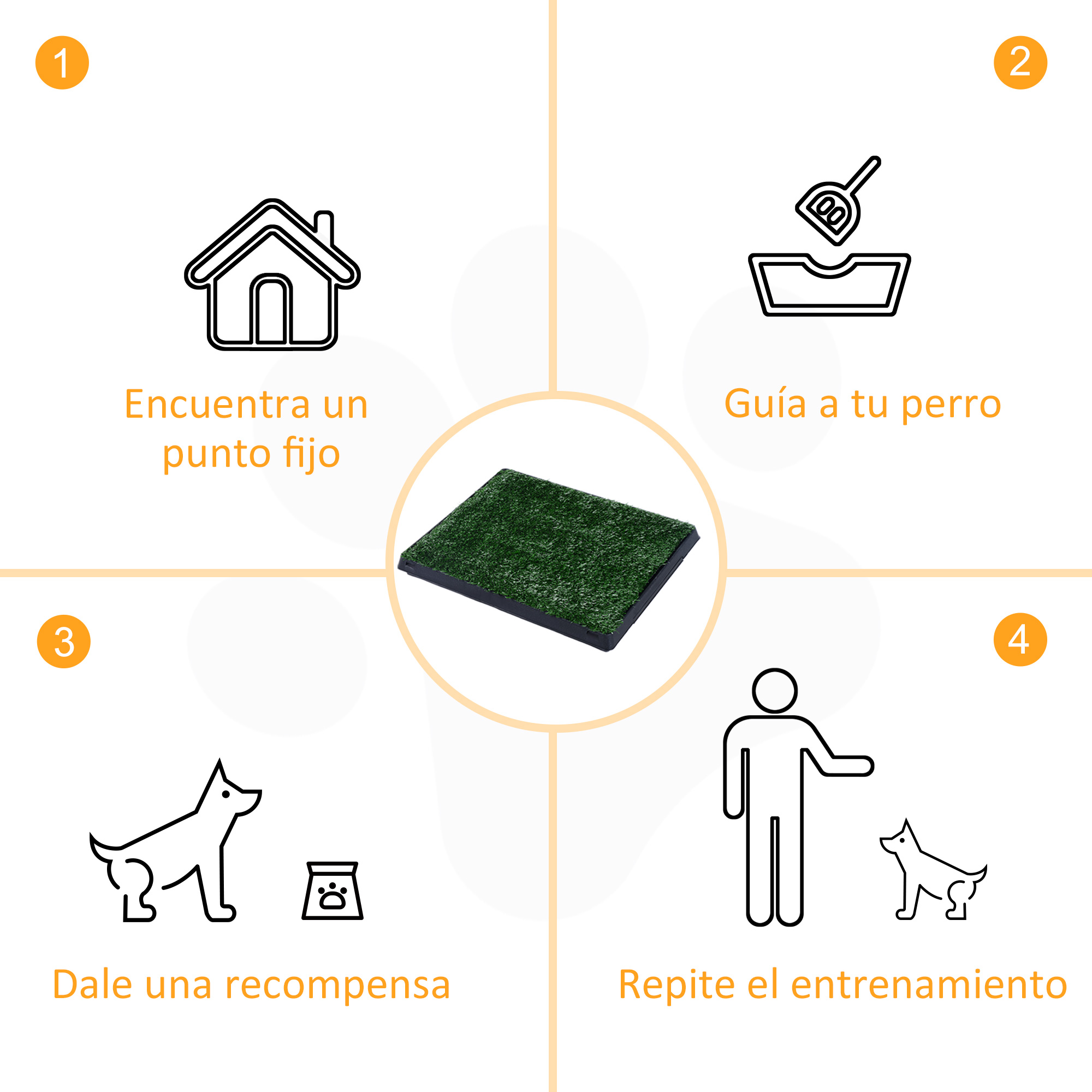 Diagrama con pasos para adiestramiento canino: encontrar un lugar, guiar al perro, recompensar y repetir el entrenamiento. Alfombra verde en el centro.