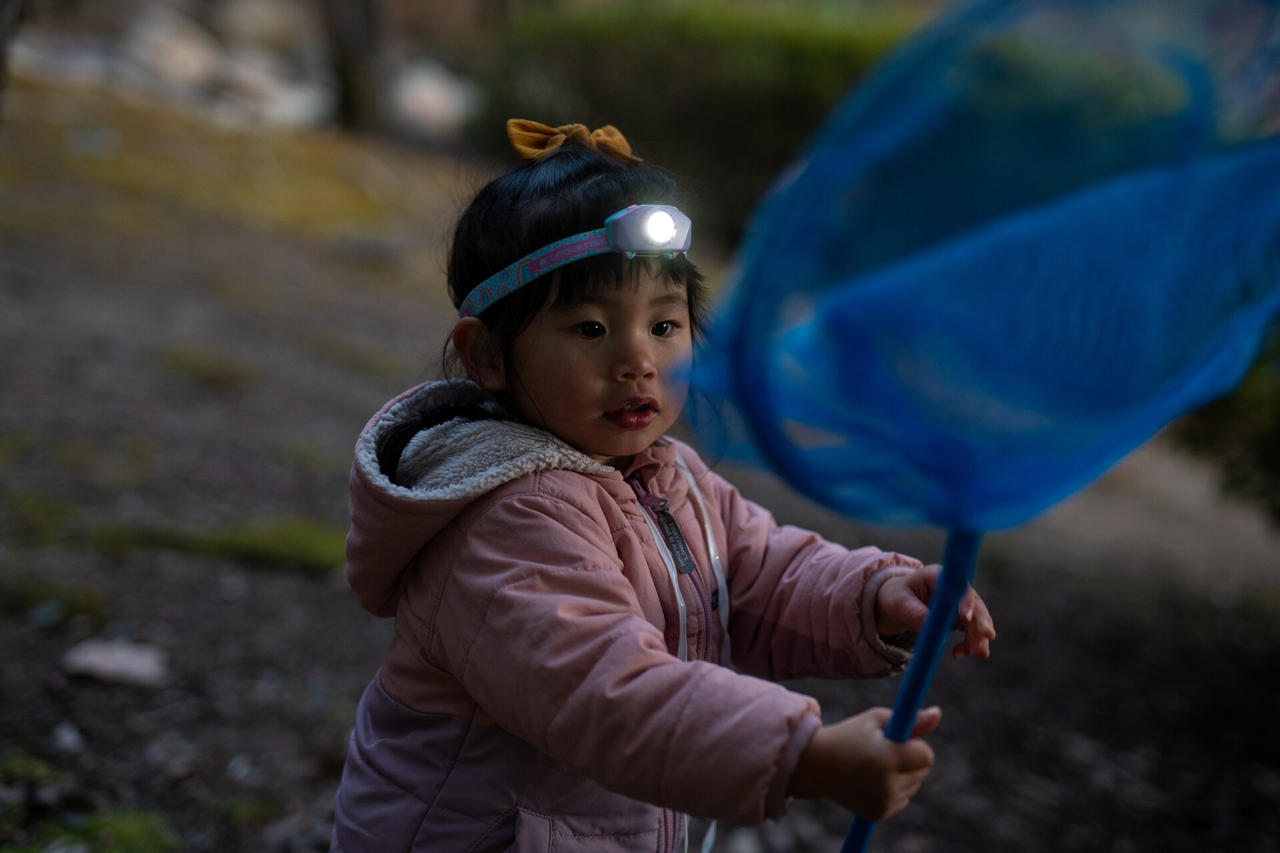 Mała dziewczynka w czołówce i różowej kurtce trzyma niebieską siatkę. Patrzy przed siebie ze skupionym wyrazem twarzy w leśnym otoczeniu.