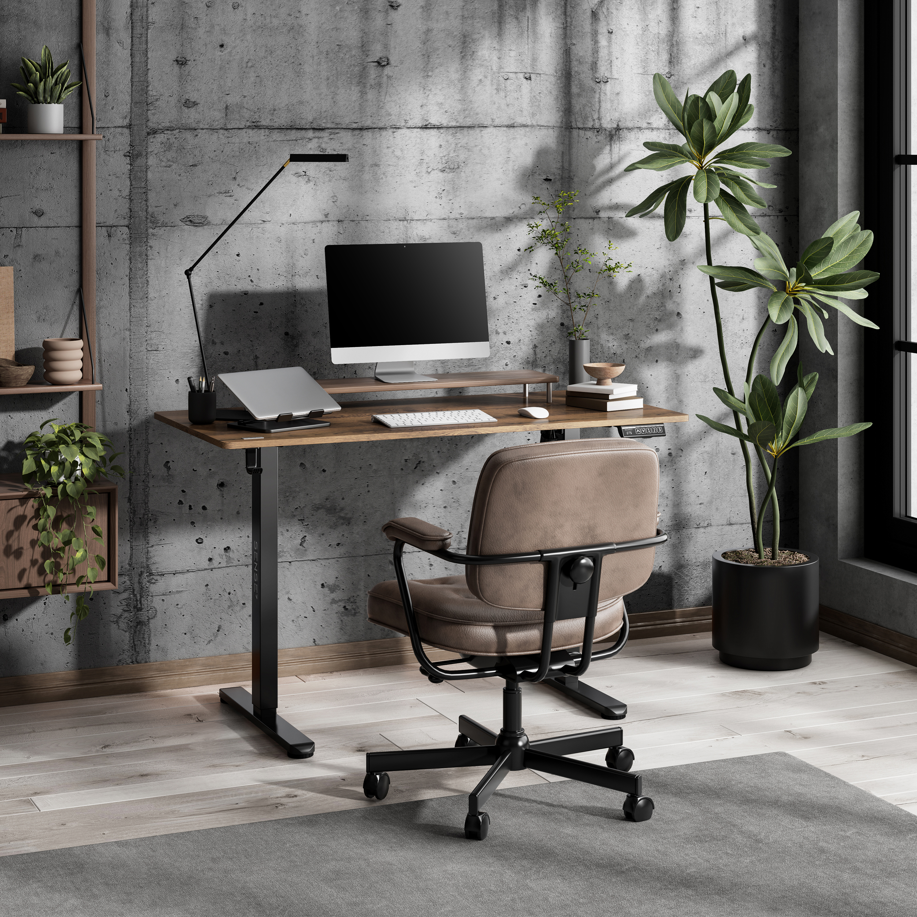 Ein Büro mit Schreibtisch, Computer, Stuhl und Pflanzen. Betonwand im Hintergrund. Holzregale auf der linken Seite.