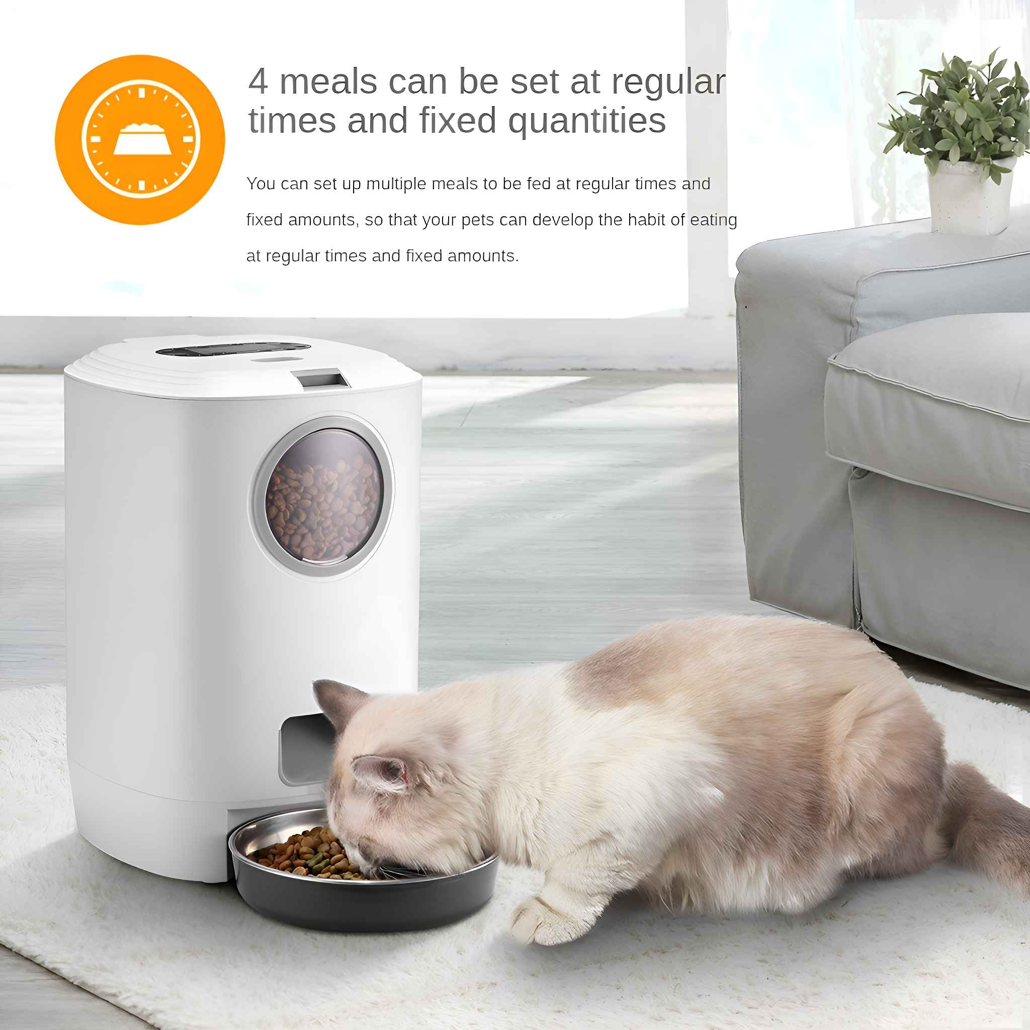 Eine Katze frisst aus einer Schüssel in der Nähe eines weißen Futterautomaten.