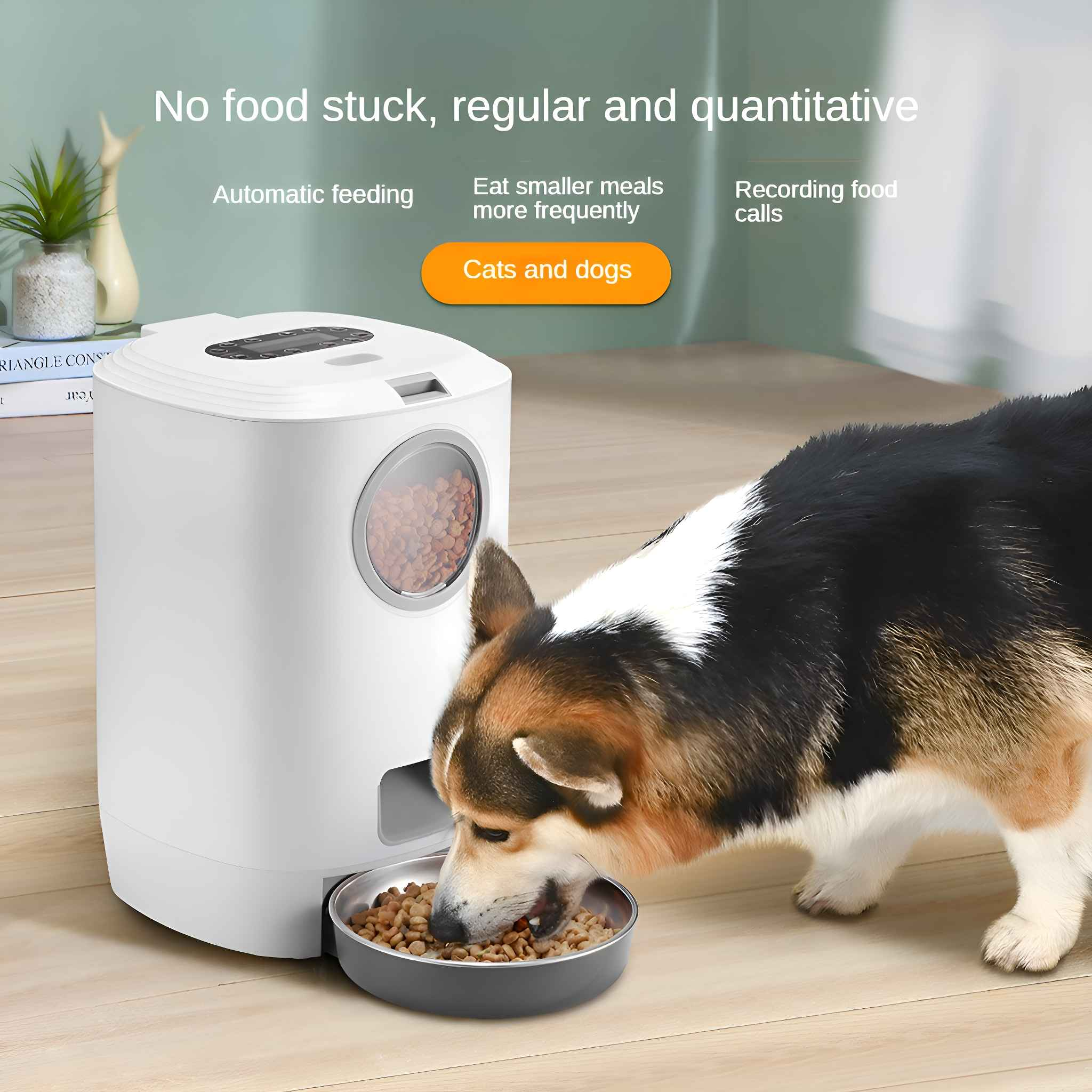 Ein Hund frisst aus einer Schüssel. Links ist ein weißer automatischer Futterautomat. Text sagt 'Katzen und Hunde'.