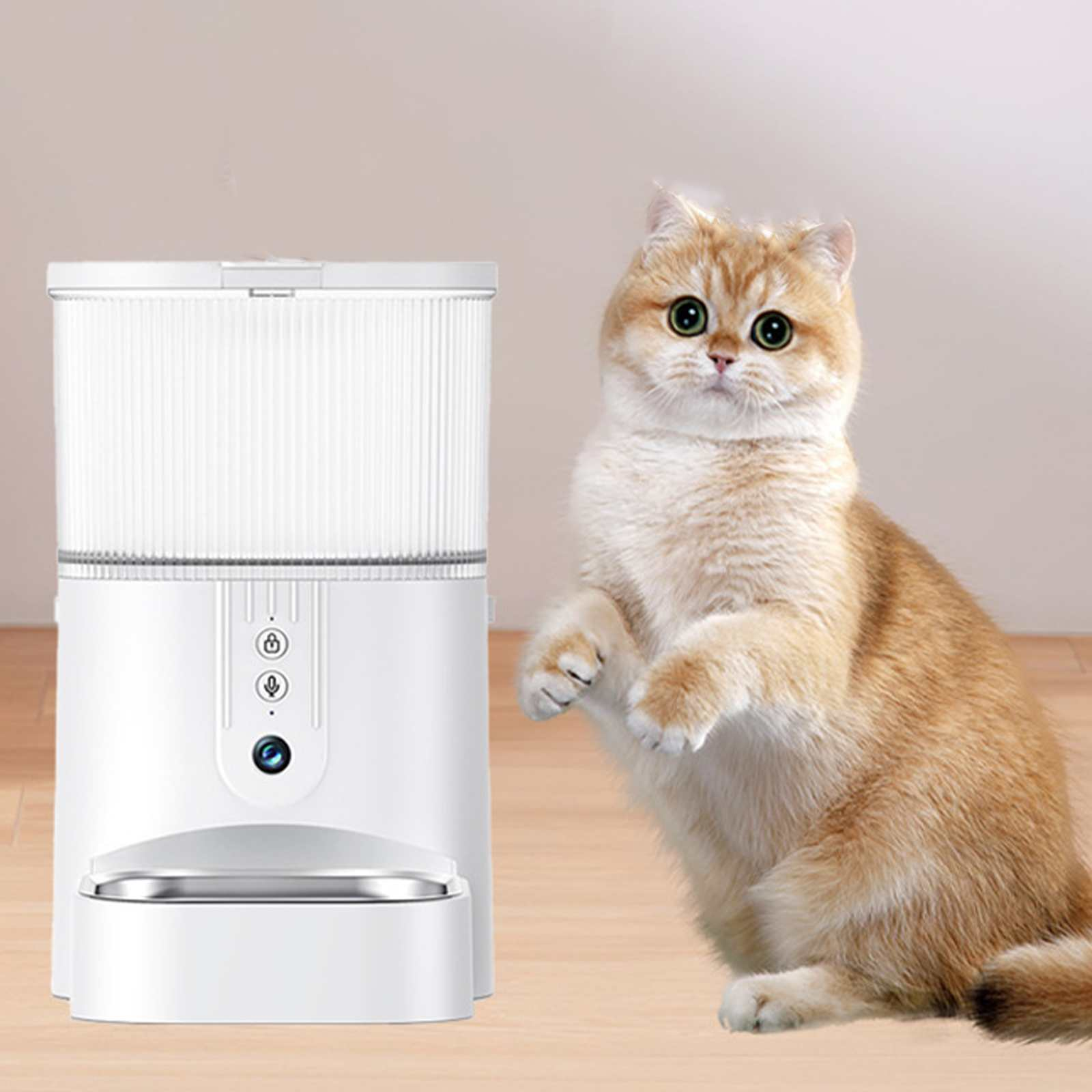 Ein weißer Katzenfutterautomat steht neben einer goldenen Katze, die in die Kamera schaut. Die Katze steht auf ihren Hinterbeinen.