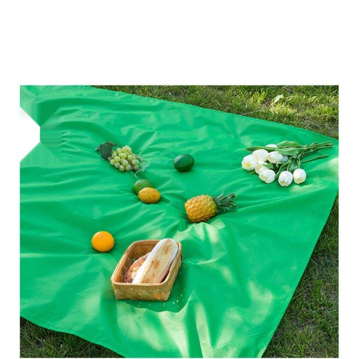 Grüne Picknickdecke auf Gras mit Früchten, Blumen und Brot. Enthält Trauben, Orange, Ananas, Zitronen, Limetten und Tulpen.