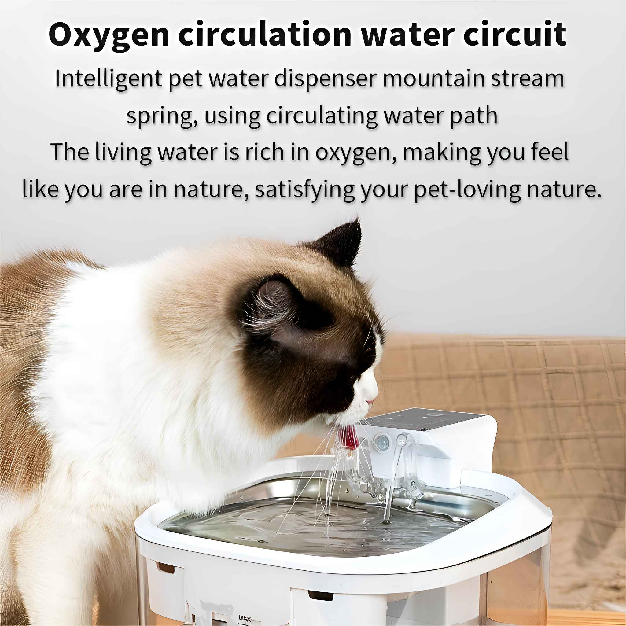 Eine Katze trinkt aus einem Haustier-Wasserspender. Der Spender ist weiß und die Katze ist braun, schwarz und weiß.