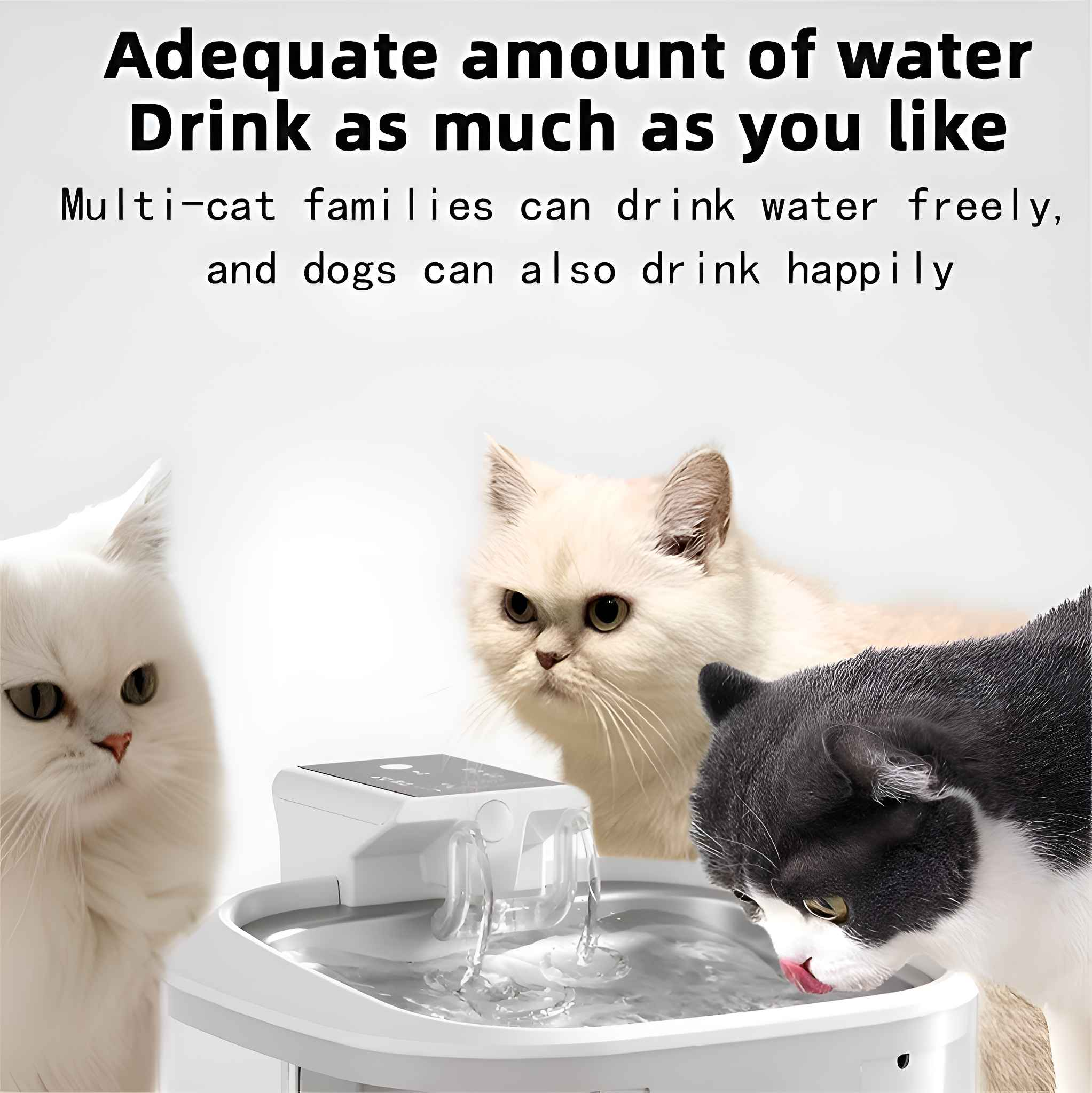 Das Bild zeigt einen Trinkbrunnen mit drei trinkenden Katzen. Der Text lautet: 'Ausreichend Wasser. Trinken Sie so viel Sie wollen.'