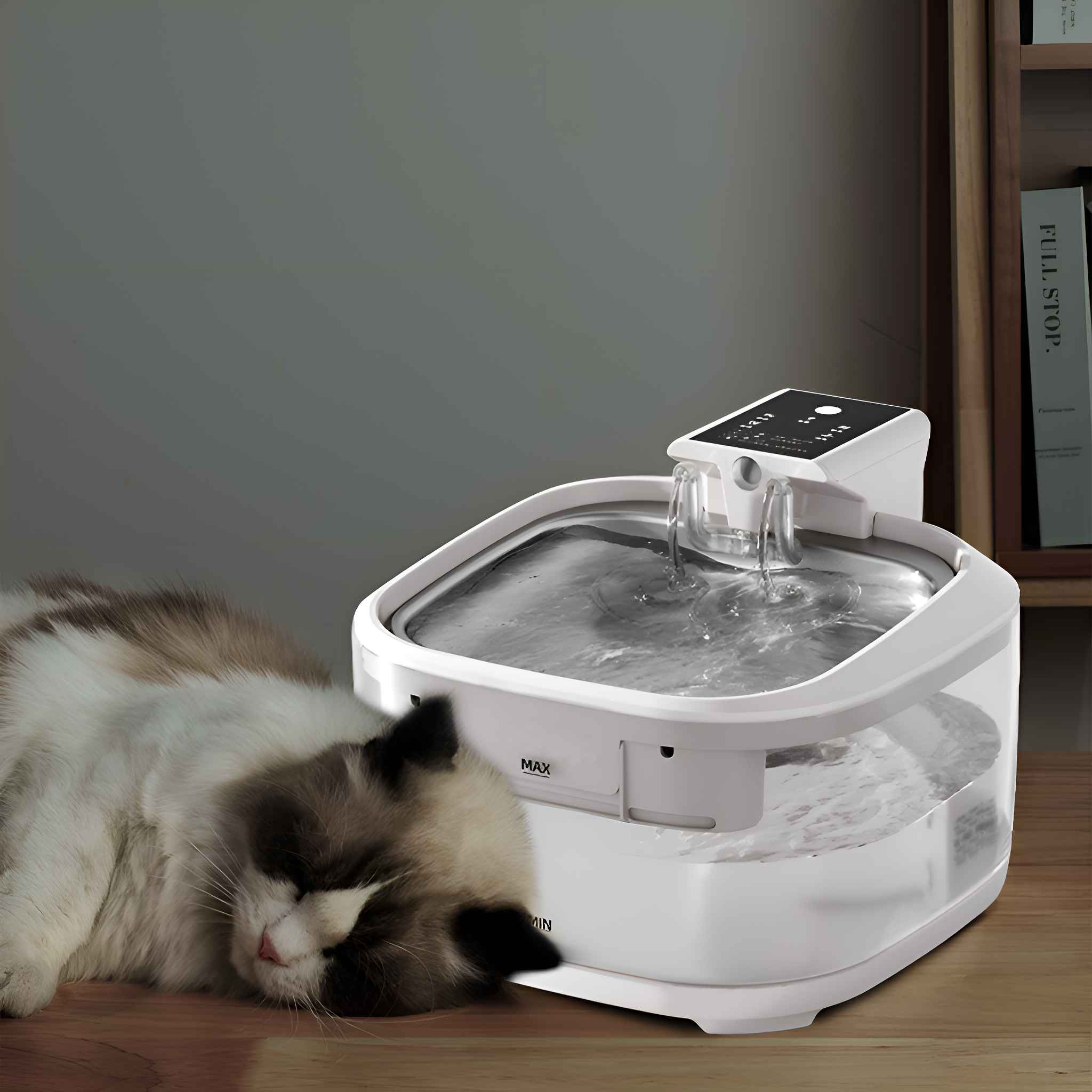Eine schlafende Katze neben einem weißen Haustier-Wasserbrunnen mit fließendem Wasser. Holzboden und ein Bücherregal im Hintergrund.