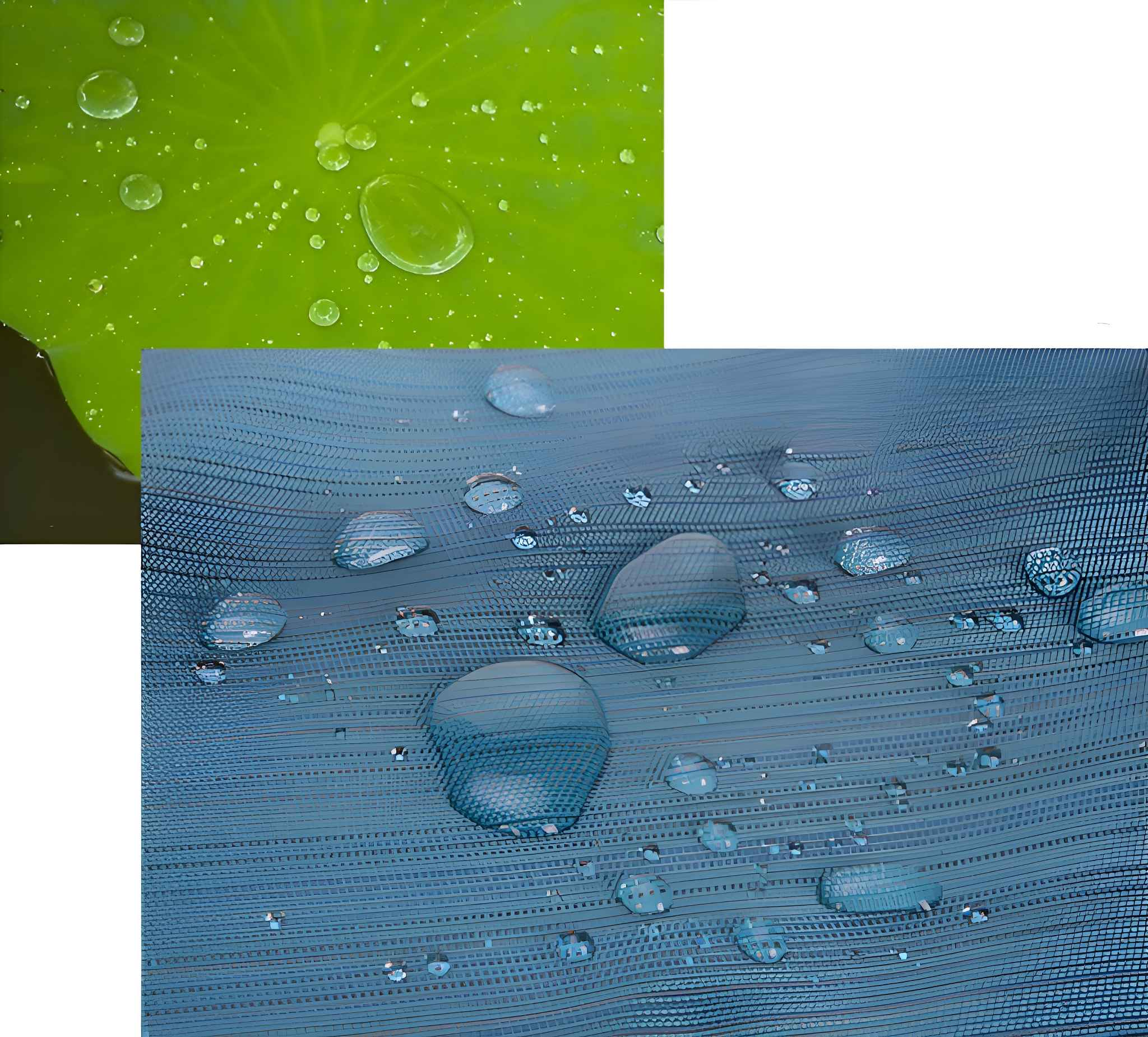 Nahaufnahme von Wassertropfen auf einem grünen Blatt und einer blauen, strukturierten Oberfläche. Beide zeigen Wassertropfen.