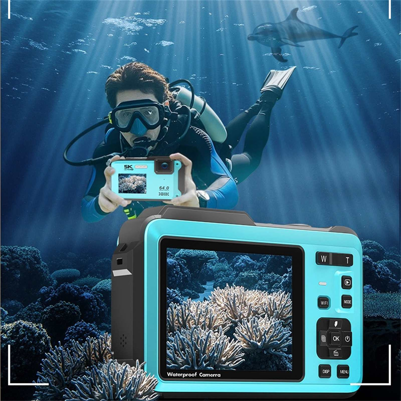 Taucher unter Wasser mit Kamera, fotografiert Korallen. Ein Delfin schwimmt im Hintergrund.