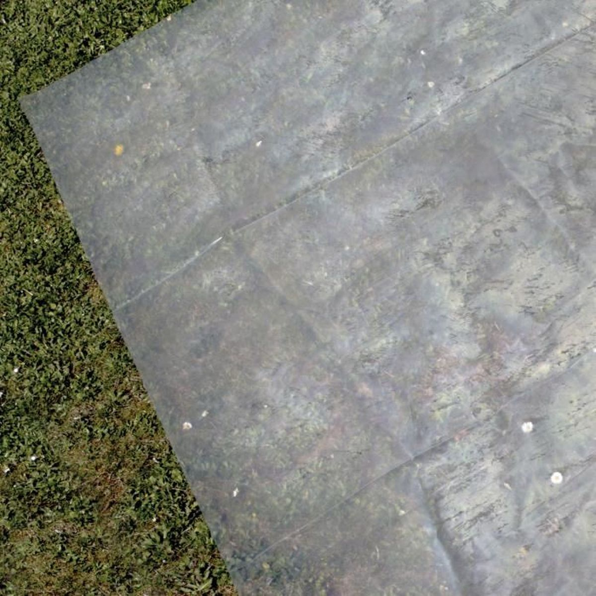 Una lámina transparente descansa sobre hierba. La lámina está ligeramente arrugada y permite que la hierba verde sea parcialmente visible debajo.
