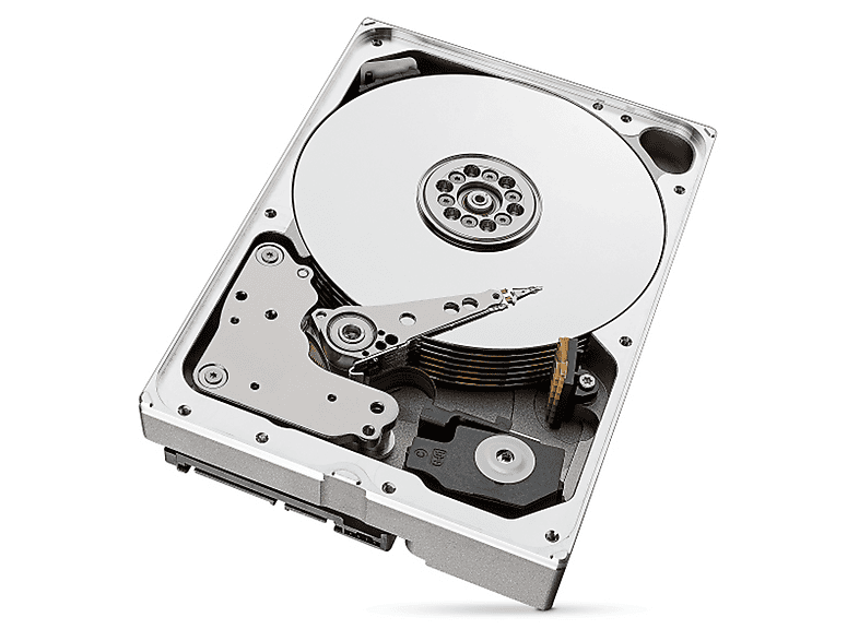 SEAGATE IronWolf Pro ST10000NT001 SATA 6 Gbit/s 10 TB Dahili Hard