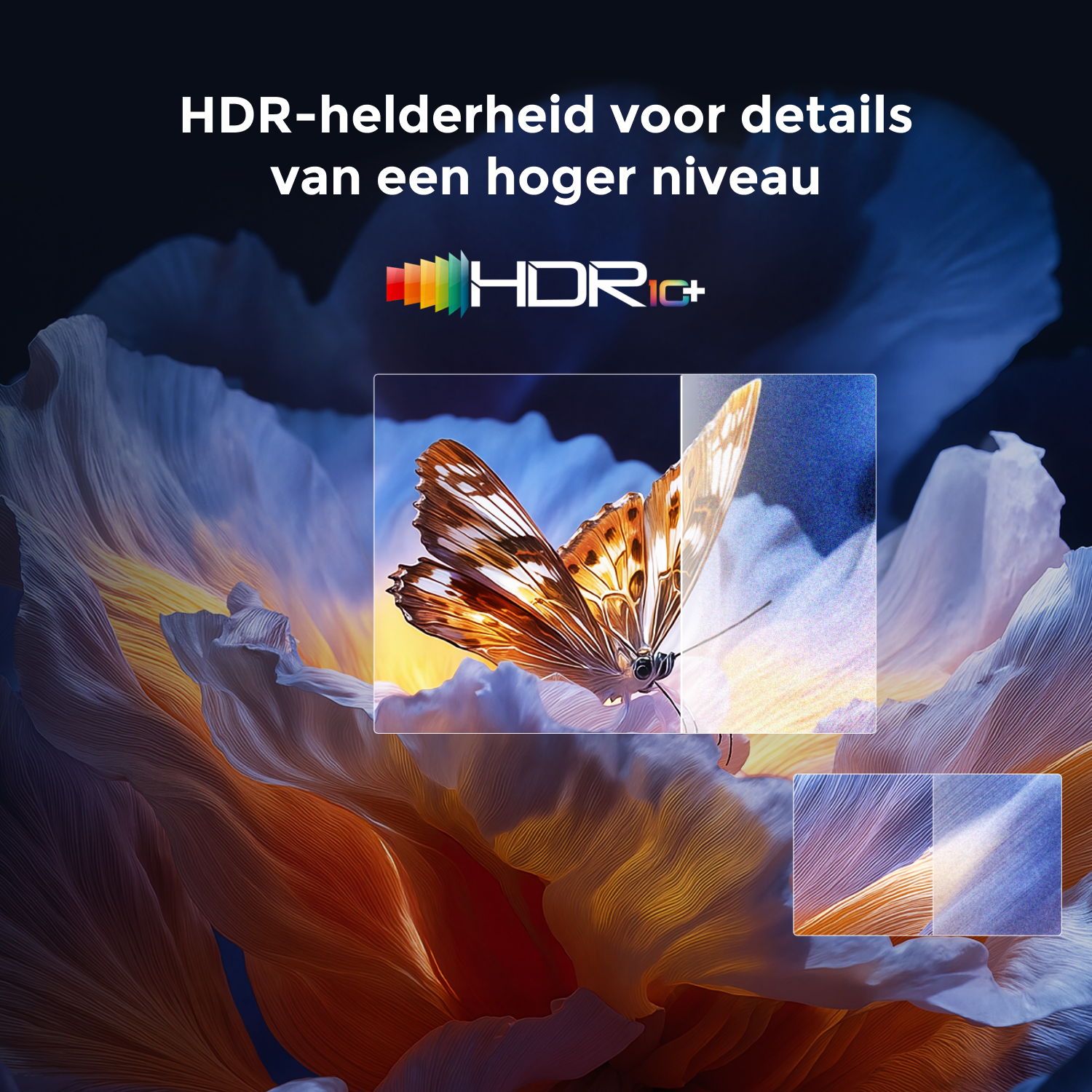 A butterfly with orange and brown wings is on a flower. The text says "HDR-helderheid voor details van een hoger niveau".