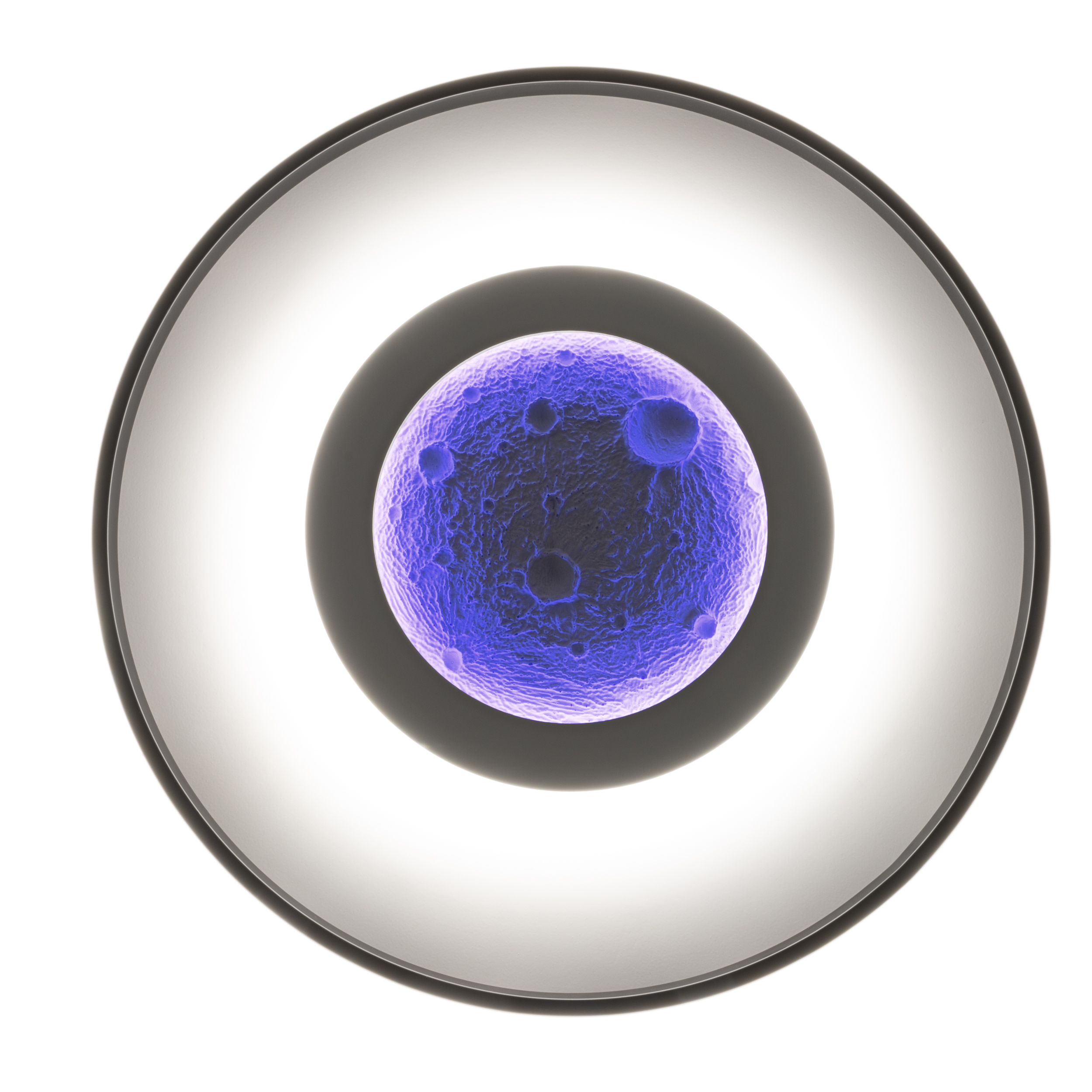 3D-Rendering einer Zelle. Ein violetter Kern ist von einem weißen Ring mit schwarzer Kontur auf weißem Hintergrund umgeben.