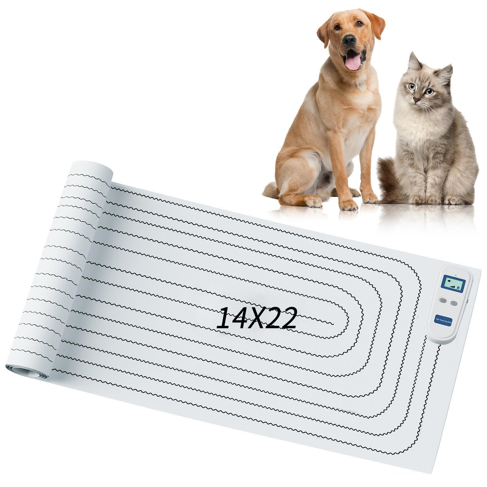 Ein Hund und eine Katze sitzen in der Nähe einer weißen Matte mit schwarzen Linien und einem Bedienfeld. Auf der Matte steht 14X22.