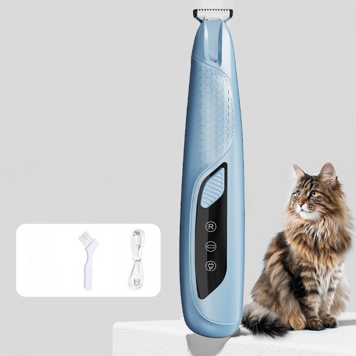 Ein blauer Haarschneider für Haustiere, Zubehör und eine flauschige Katze werden auf einer weißen Oberfläche vor hellem Hintergrund gezeigt.
