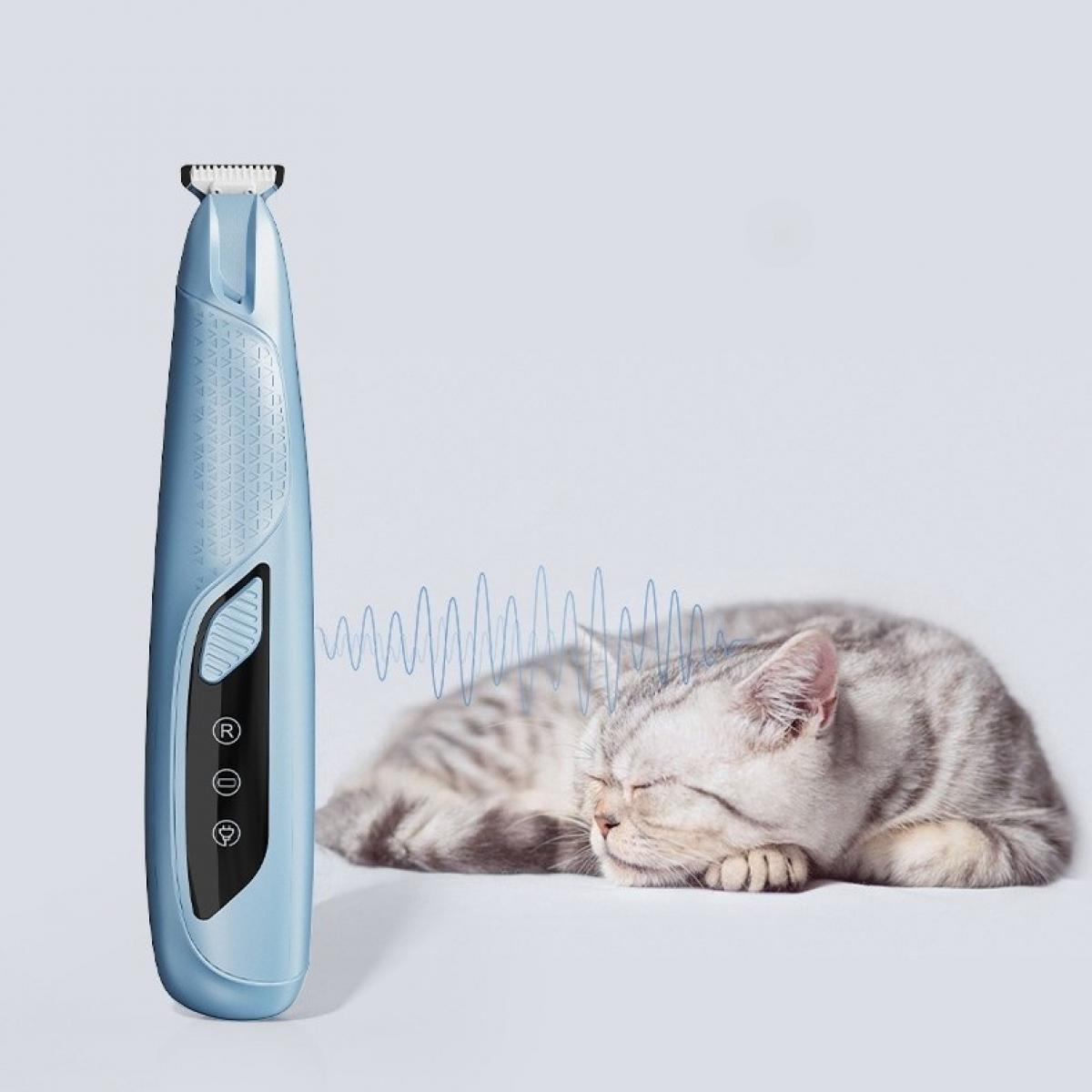 Ein blaues Katzenpflegegerät neben einer schlafenden Katze. Das Werkzeug hat Knöpfe und eine Klinge. Die Katze ist grau und weiß.