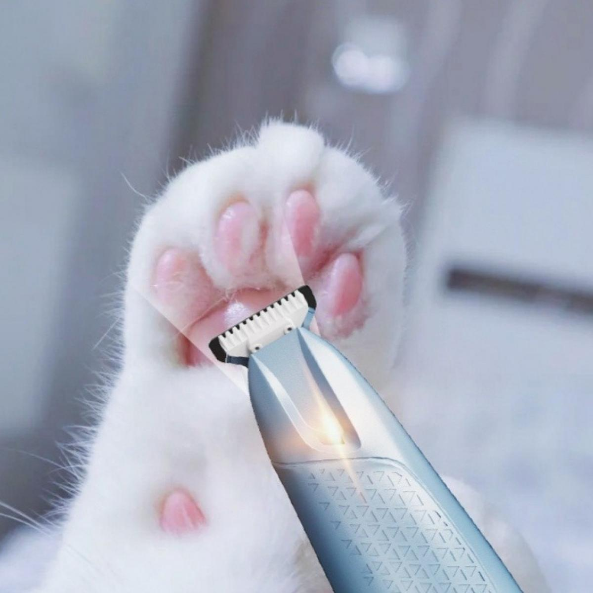 Eine weiße Katzenpfote mit rosa Ballen wird mit einem silbernen elektrischen Trimmer getrimmt. Der Hintergrund ist unscharf.
