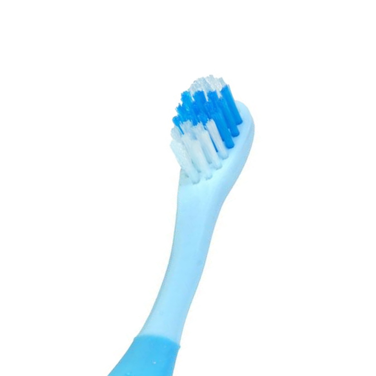 Un primo piano di uno spazzolino da denti azzurro con setole blu e bianche su sfondo bianco.
