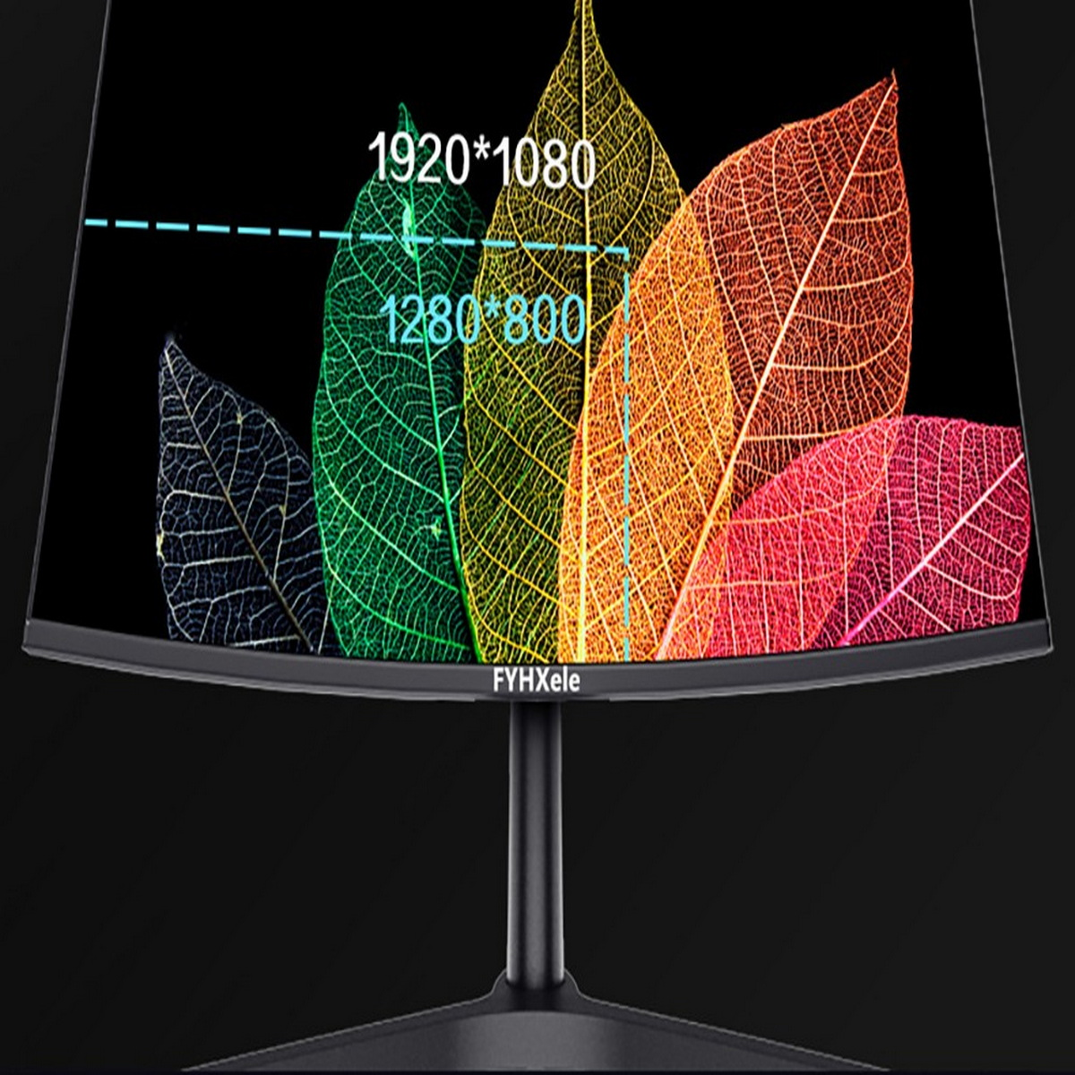 Ein Monitor zeigt farbenfrohe Blattskelette mit Auflösungsdetails. Der Monitor hat einen schwarzen Rahmen und Ständer, vor dunklem Hintergrund.