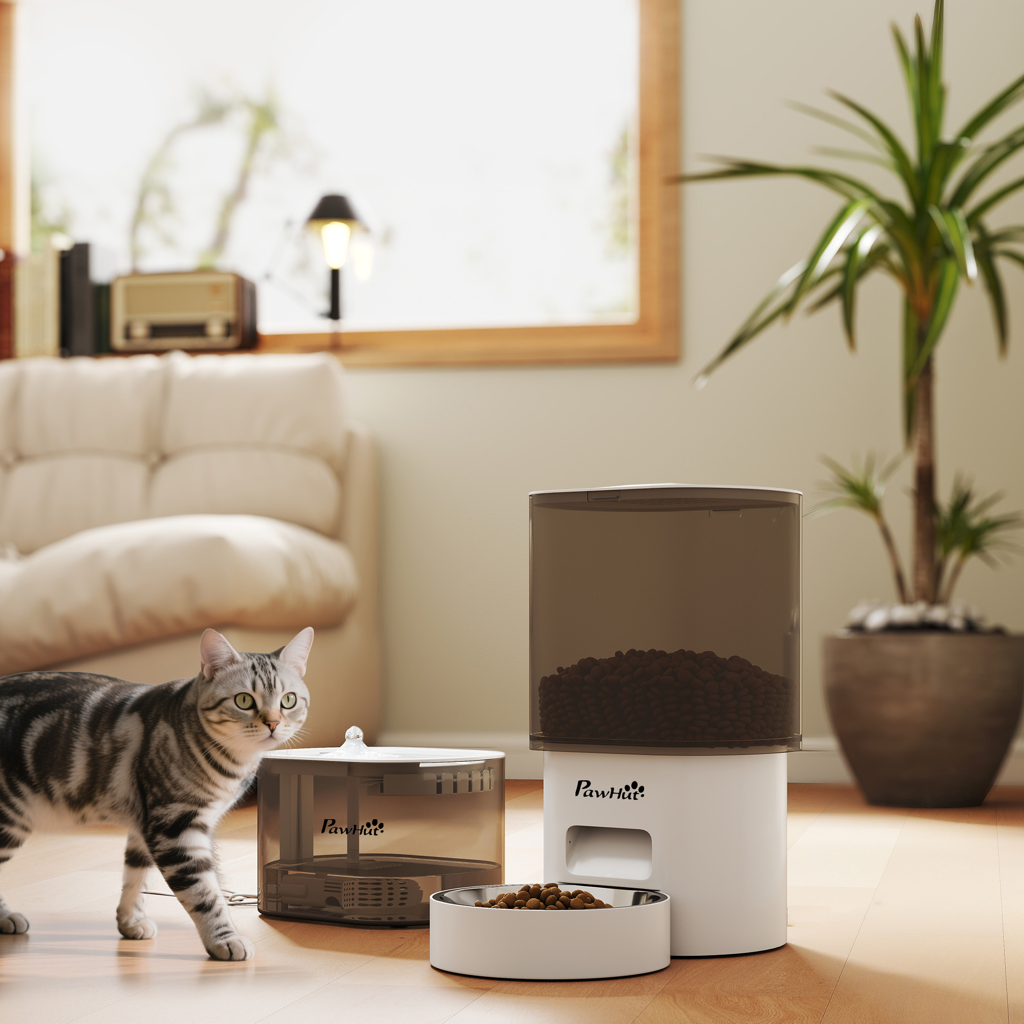 Un gato camina hacia la cámara cerca de comederos. Una planta y una ventana están en el fondo.