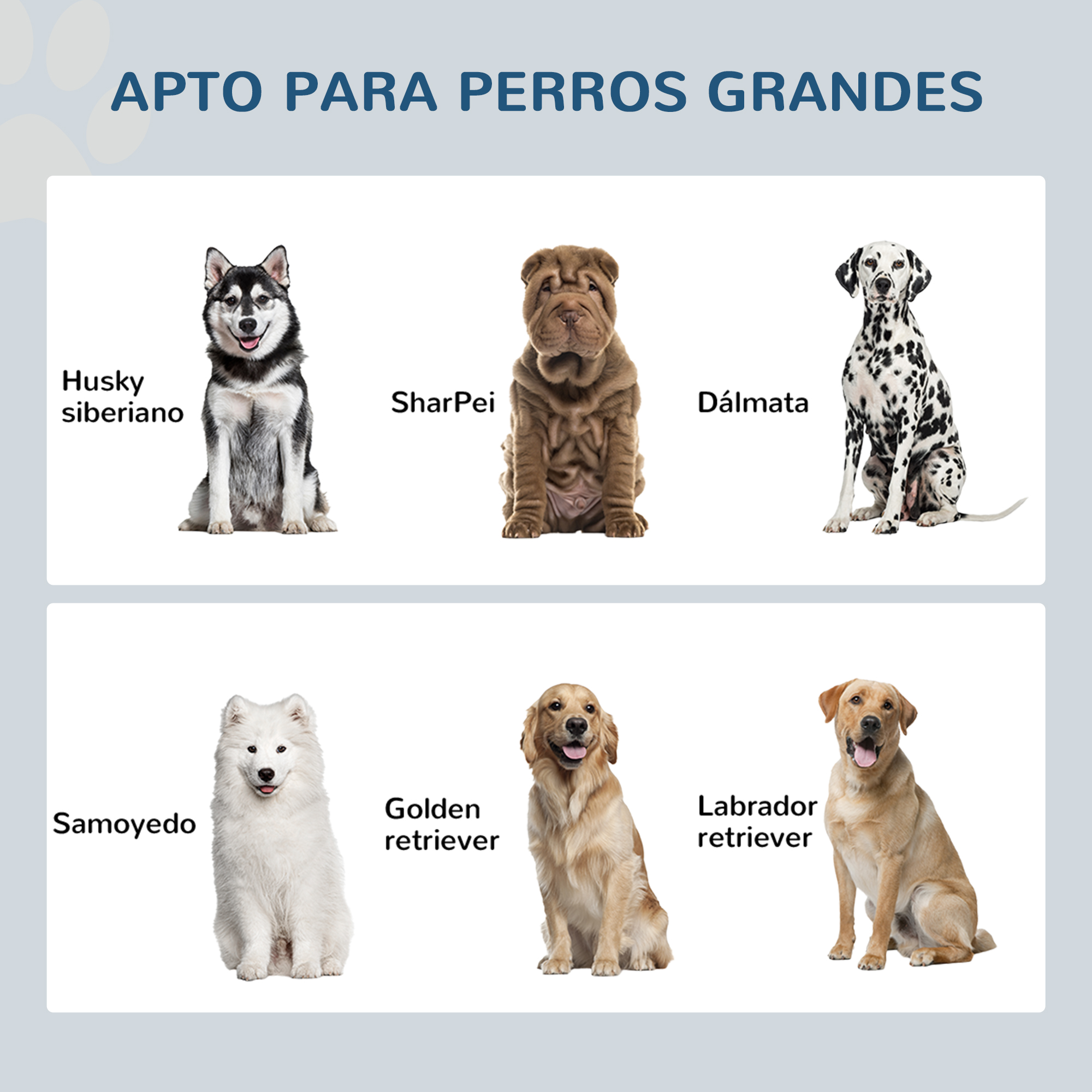 La imagen muestra seis razas de perros: Husky siberiano, Shar Pei, Dálmata, Samoyedo, Golden Retriever y Labrador Retriever.