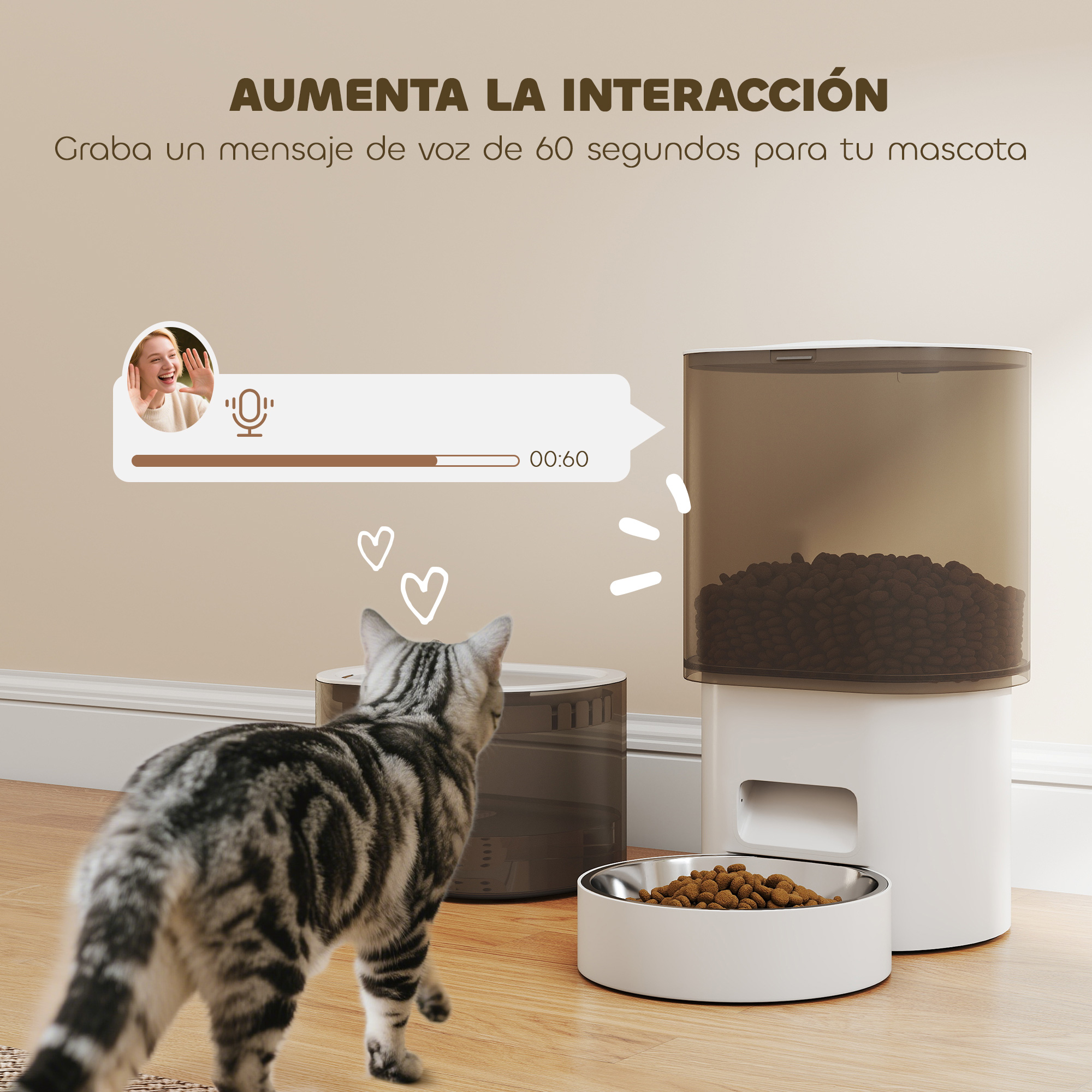 Un gato camina hacia un comedero. El comedero tiene comida. Una persona está grabando un mensaje de voz.