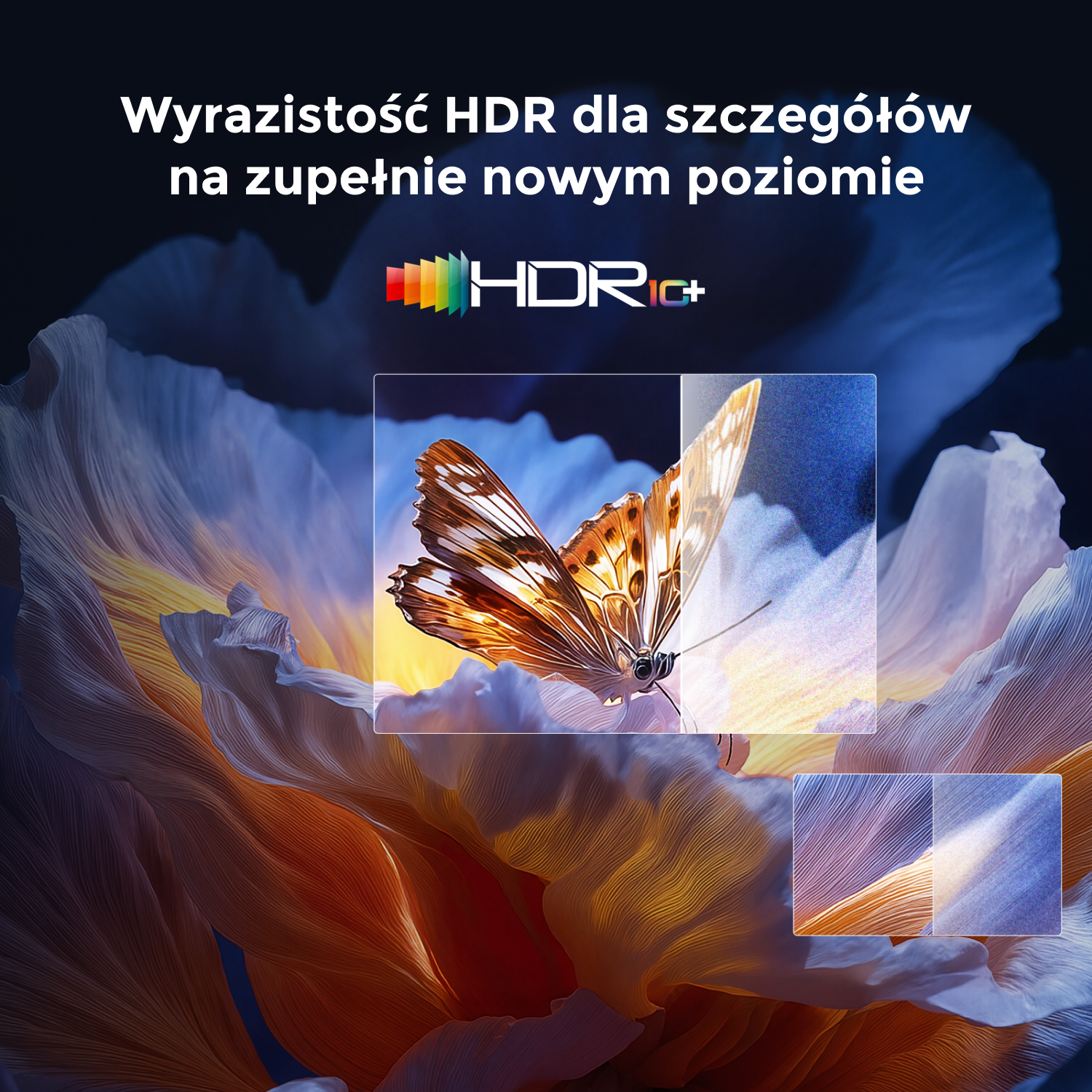 Motyl z pomarańczowo-brązowymi skrzydłami na kwiatku. Logo i tekst HDR+. Kolory: pomarańczowy, niebieski, biały.