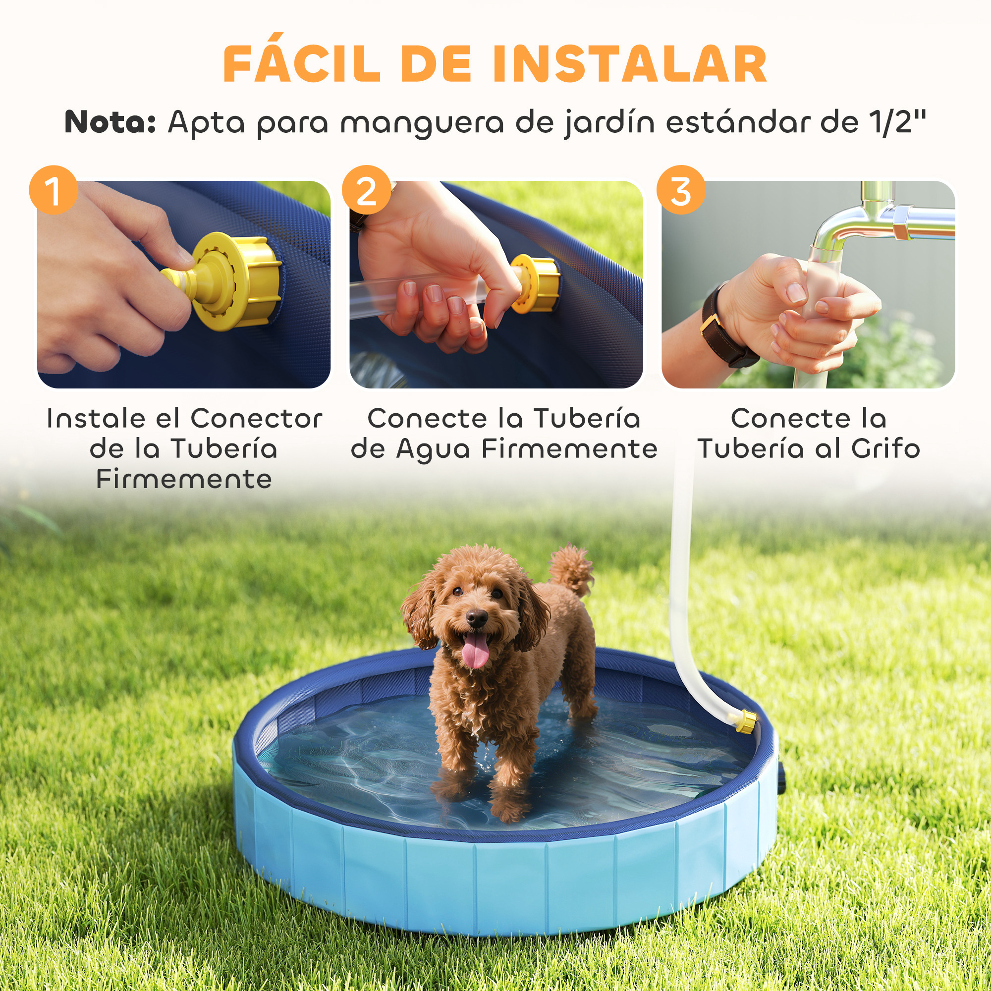 Un perro está en una piscina azul sobre hierba, las instrucciones muestran cómo conectar una manguera a la piscina.