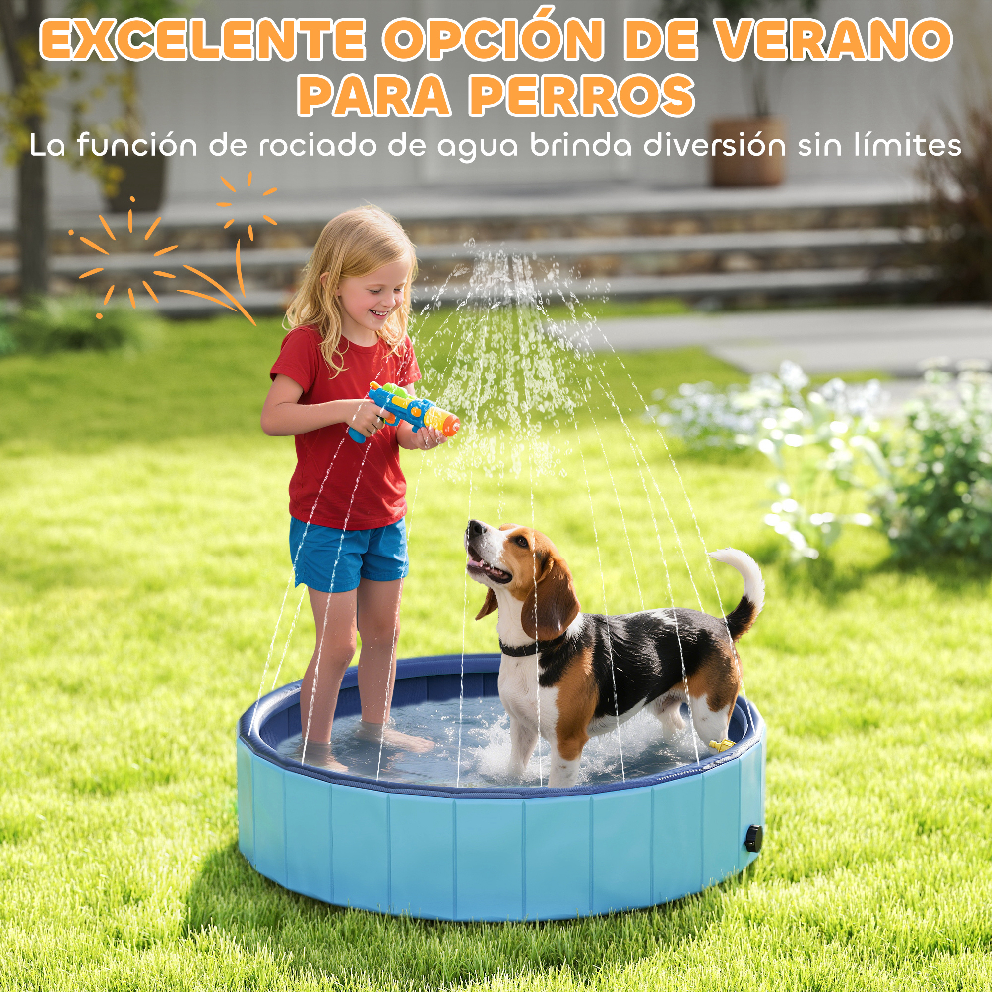 Una niña rocía agua a un perro en una piscina pequeña. El perro está mojado y feliz. Hierba verde en el fondo.