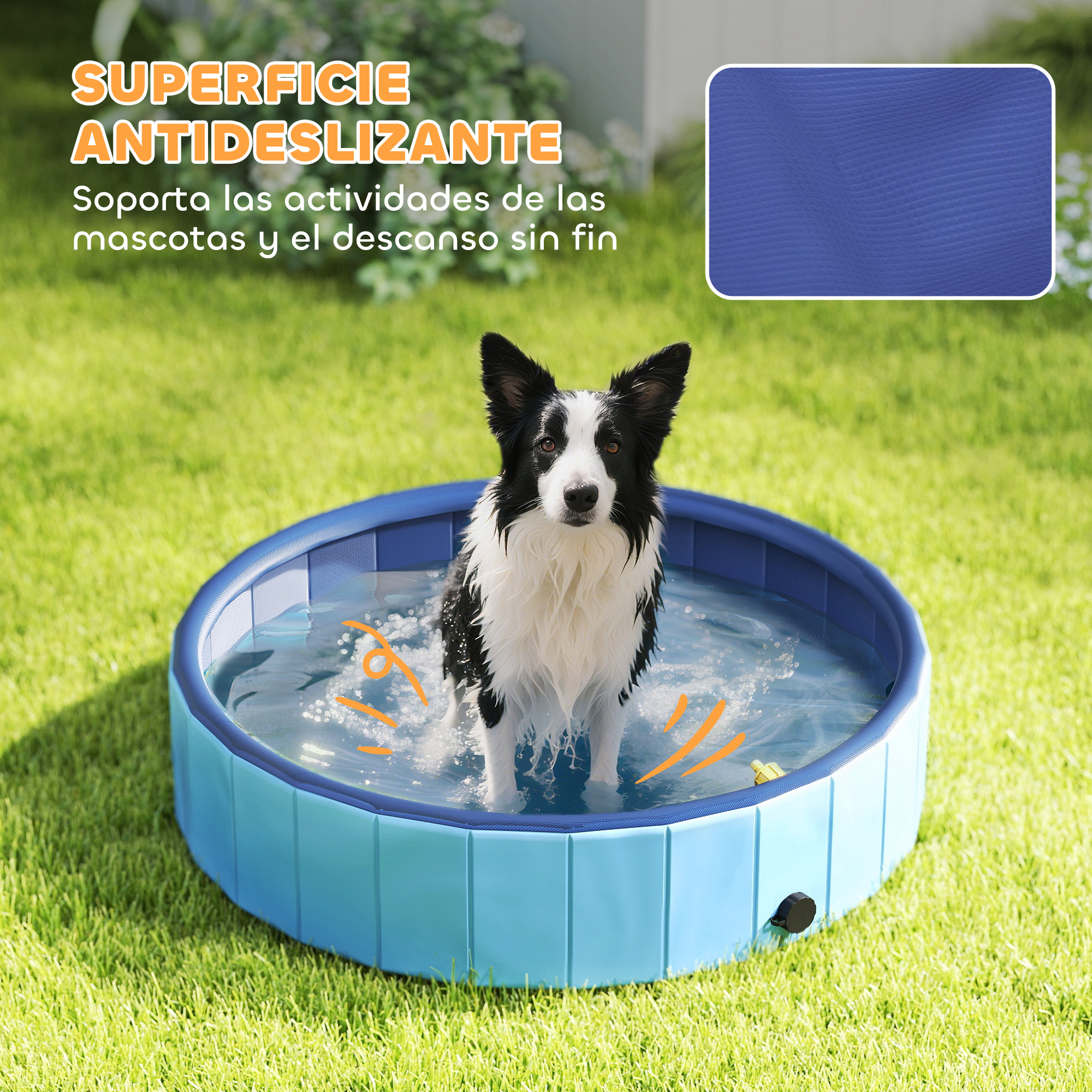 Un perro blanco y negro está en una piscina azul sobre hierba verde. La piscina tiene agua y está rodeada de paneles azules.