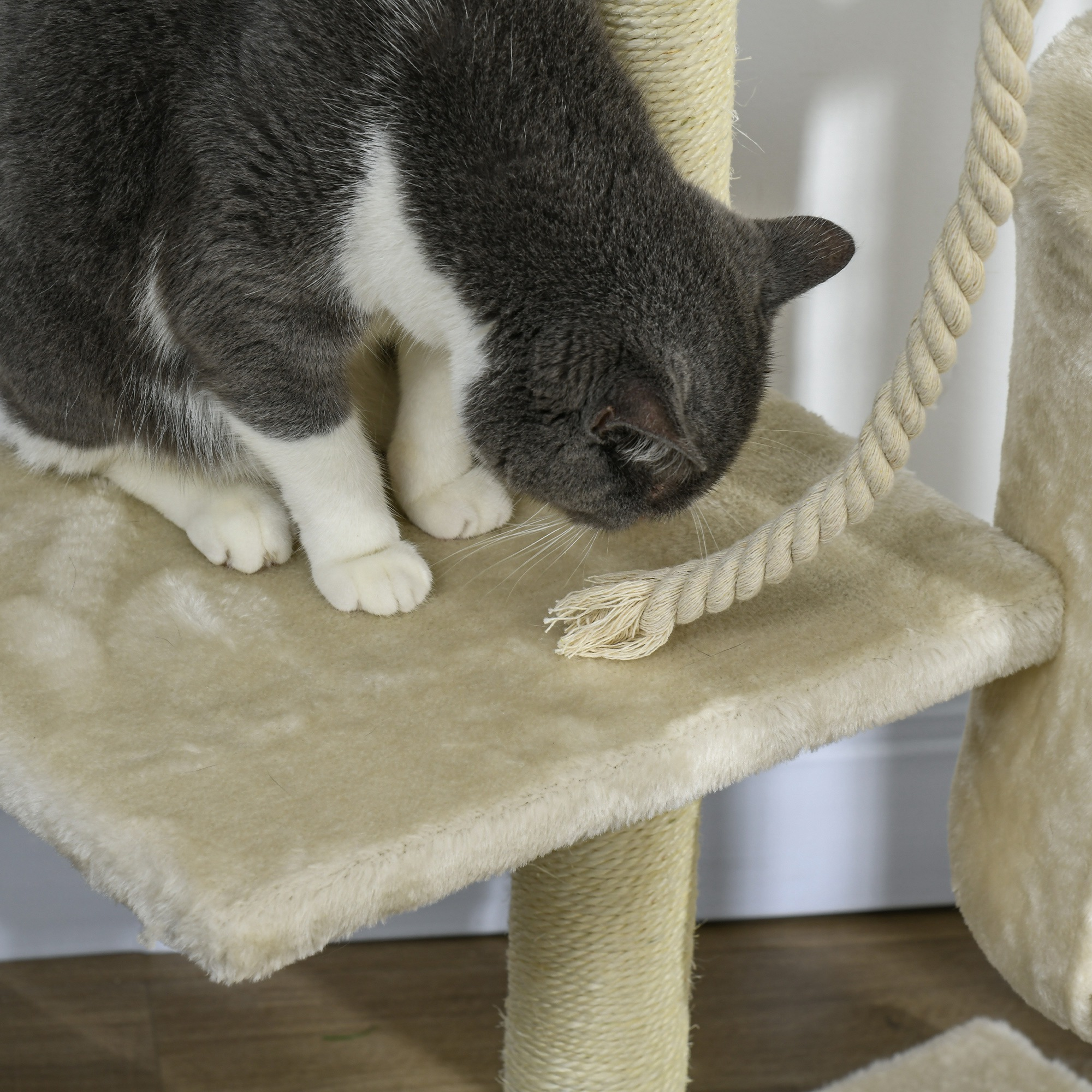Un gato gris y blanco en un árbol para gatos beige. El gato mira una cuerda deshilachada. Fondo beige.