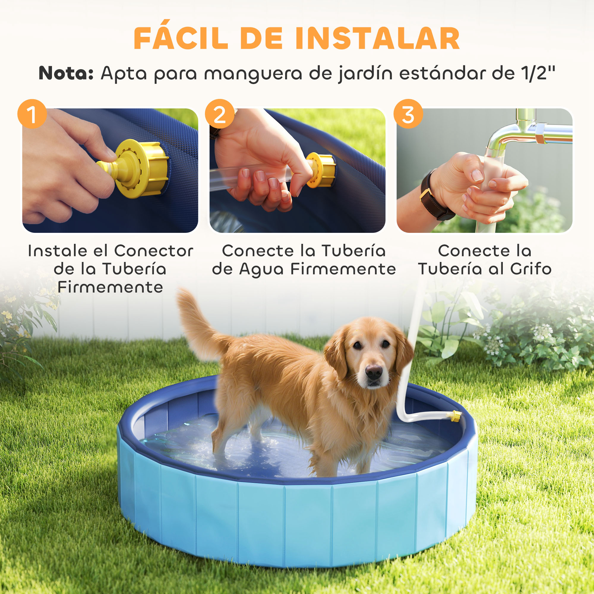 Un golden retriever en una piscina azul sobre césped. Las instrucciones muestran cómo conectar una manguera.