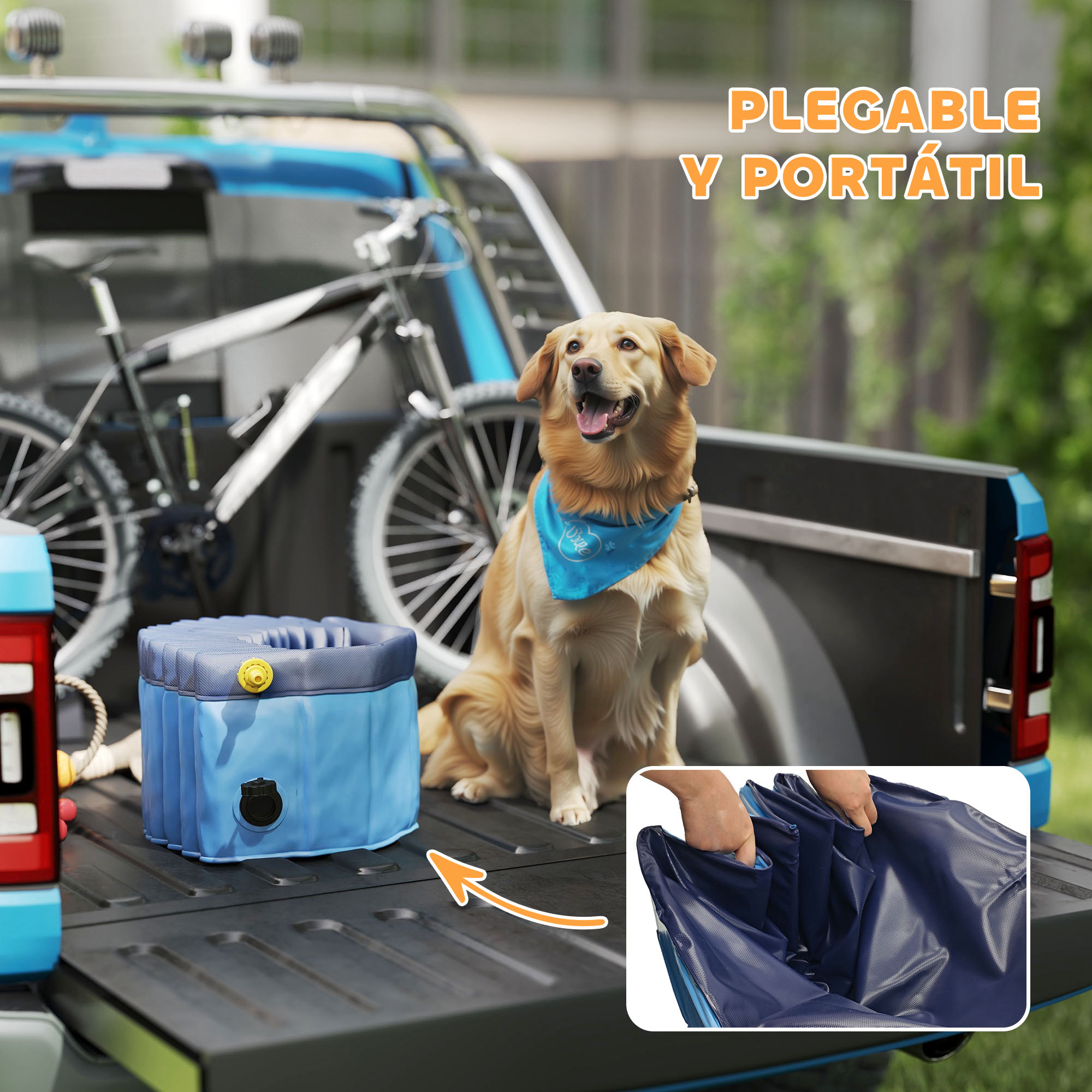 Un Golden Retriever está sentado en la caja de una camioneta con un pañuelo azul. También se ven un cuenco azul plegable para perros y una bicicleta.