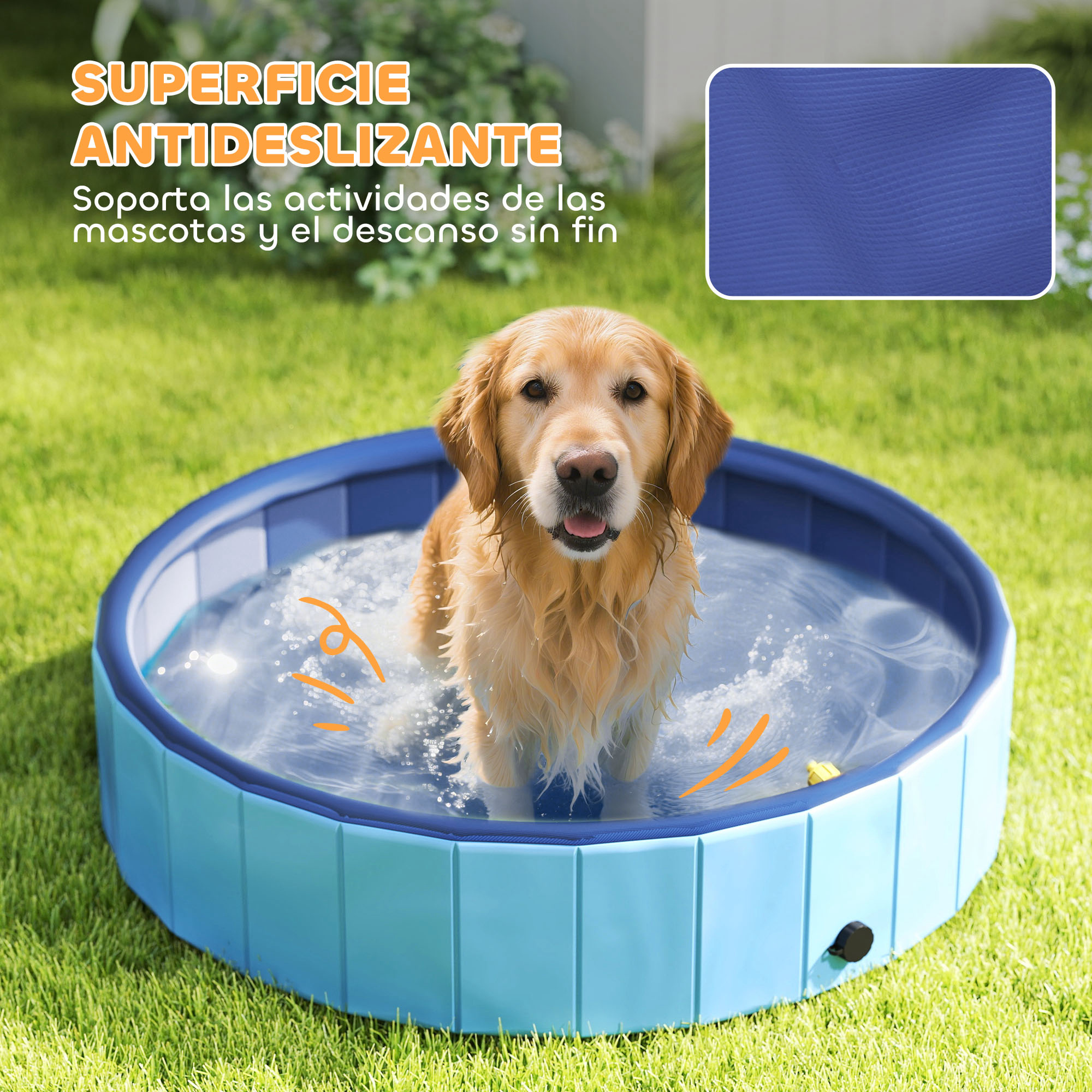 Un golden retriever en una piscina azul sobre césped. El agua salpica alrededor del perro. Texto en la esquina superior izquierda.