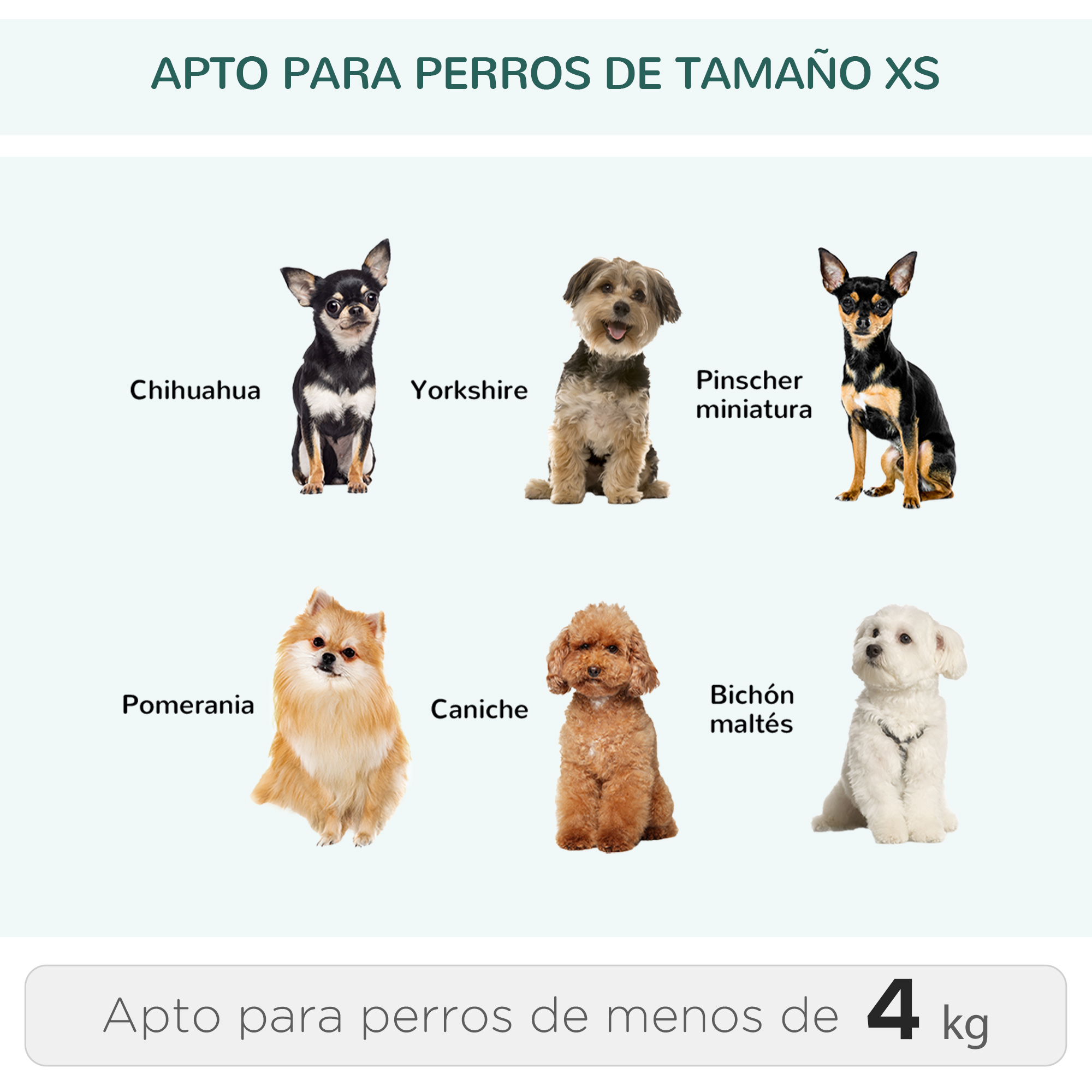 La imagen muestra seis razas de perros pequeños: Chihuahua, Yorkshire, Pinscher miniatura, Pomerania, Caniche y Maltés. El texto dice: 'Apto para perros de menos de 4 kg'.