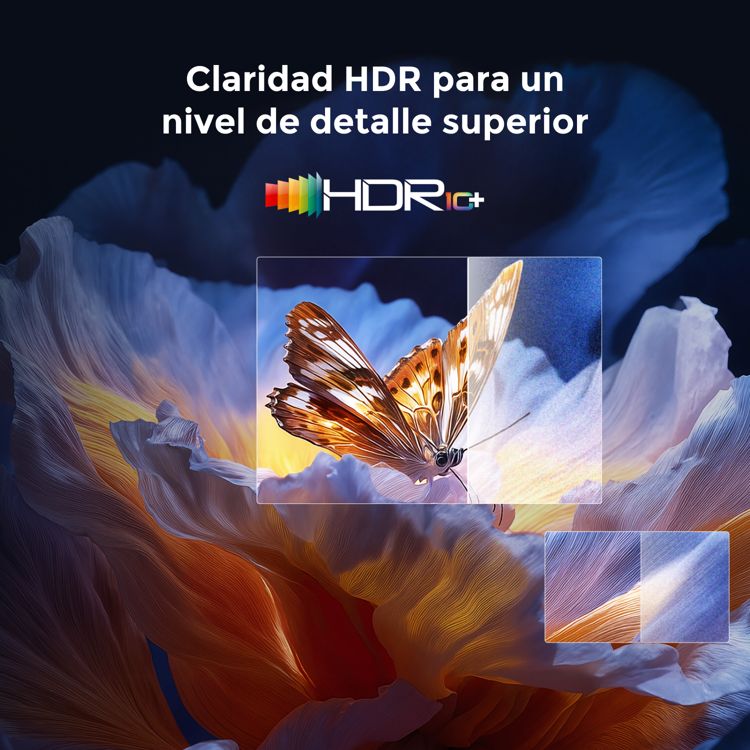 Una mariposa en una flor con texto de claridad HDR. El logotipo HDR está en el centro superior. La imagen tiene una combinación de colores cálidos y fríos.