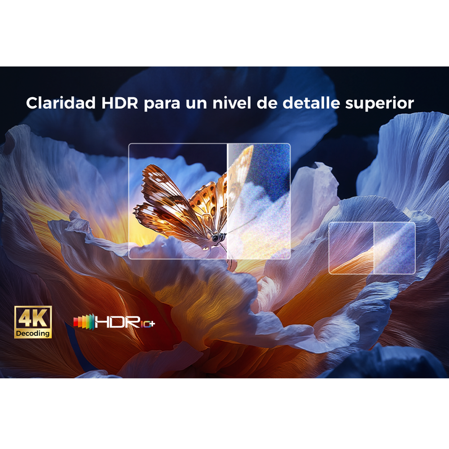 Imagen muestra una mariposa en una flor, con texto sobre claridad HDR y decodificación 4K. Los colores son vibrantes.