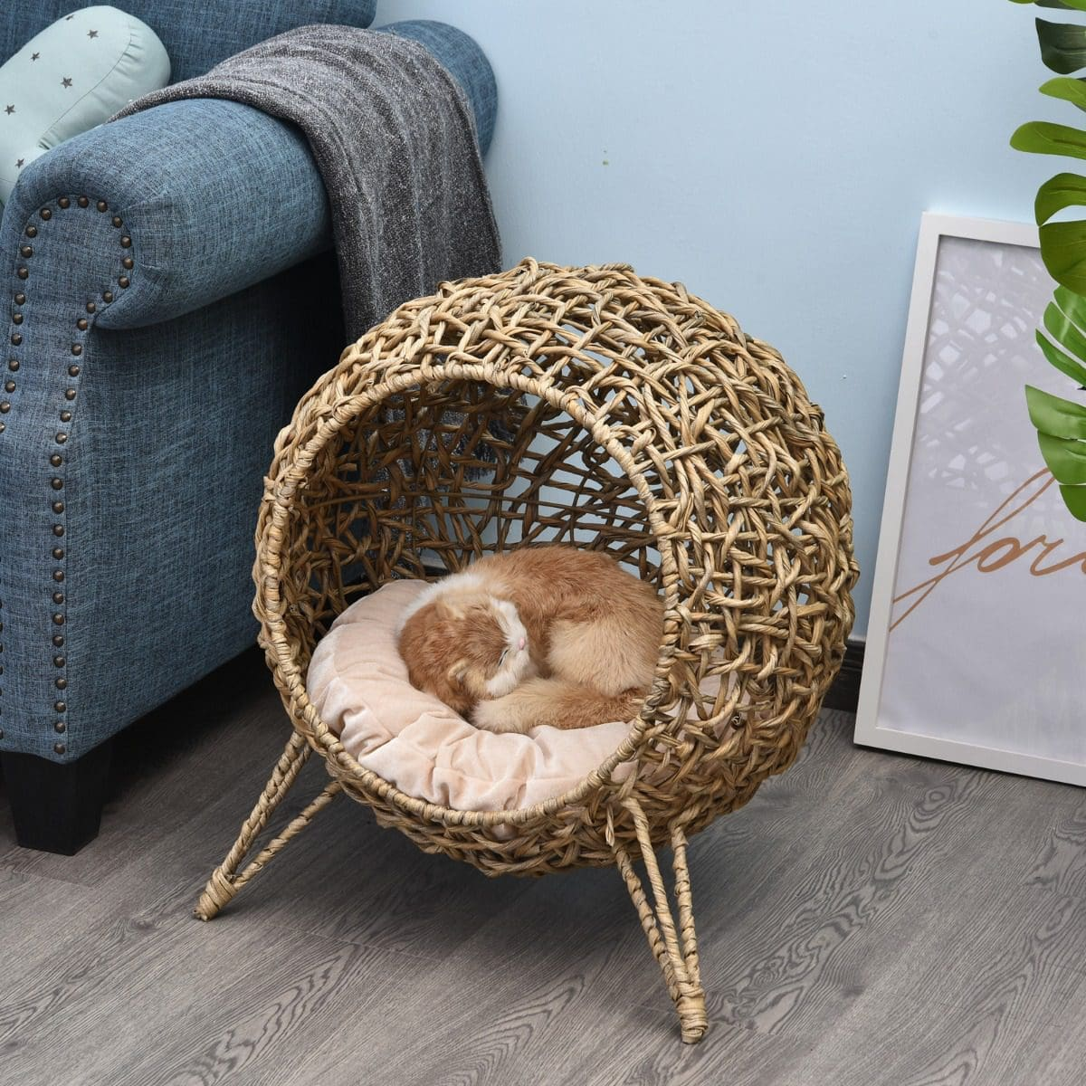 Un gato duerme acurrucado en una cama tejida para mascotas. La cama está sobre un piso de madera, cerca de un sofá azul y una impresión enmarcada.