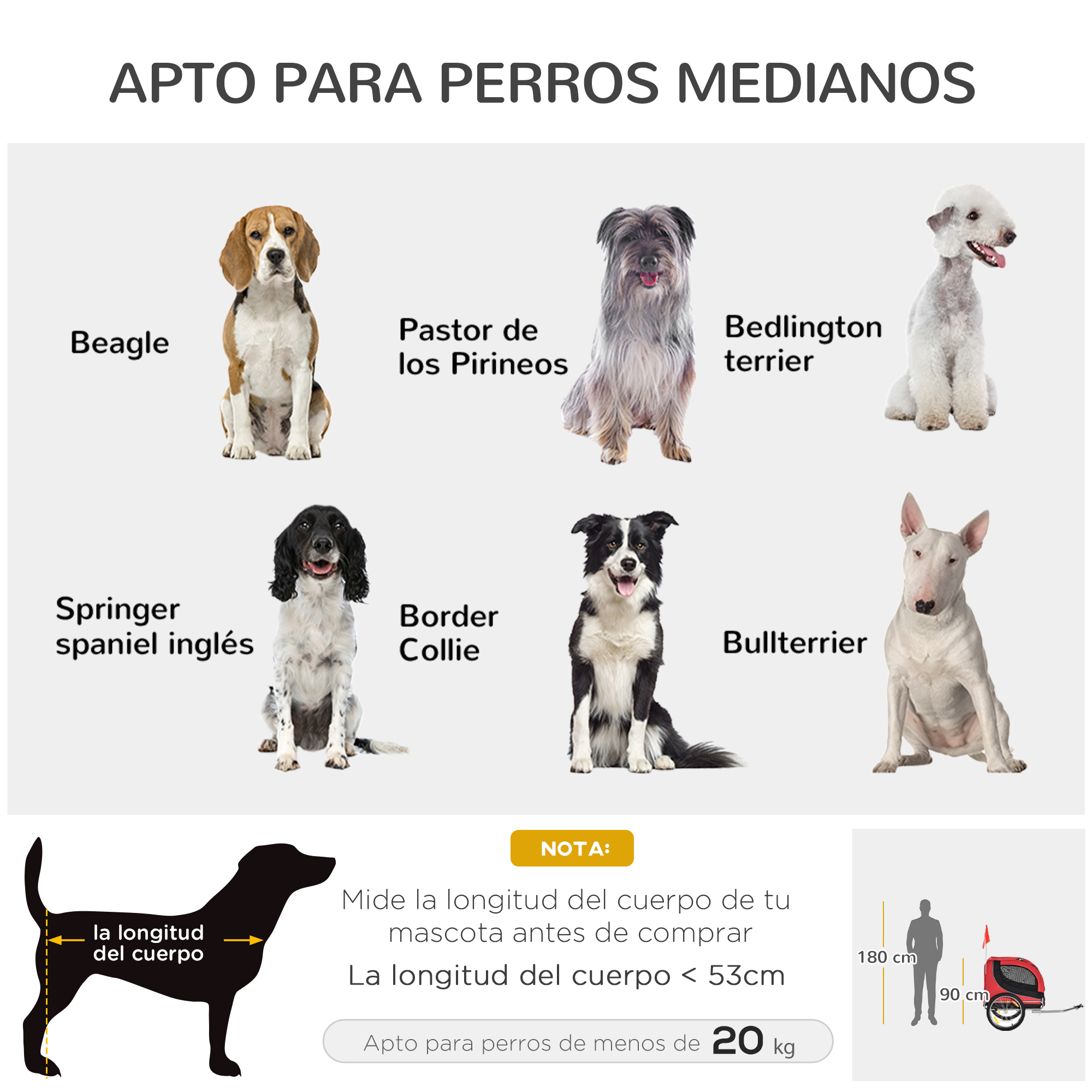 La imagen muestra razas de perros: Beagle, Pastor de los Pirineos, Bedlington Terrier, Springer Spaniel Inglés, Border Collie, Bullterrier.