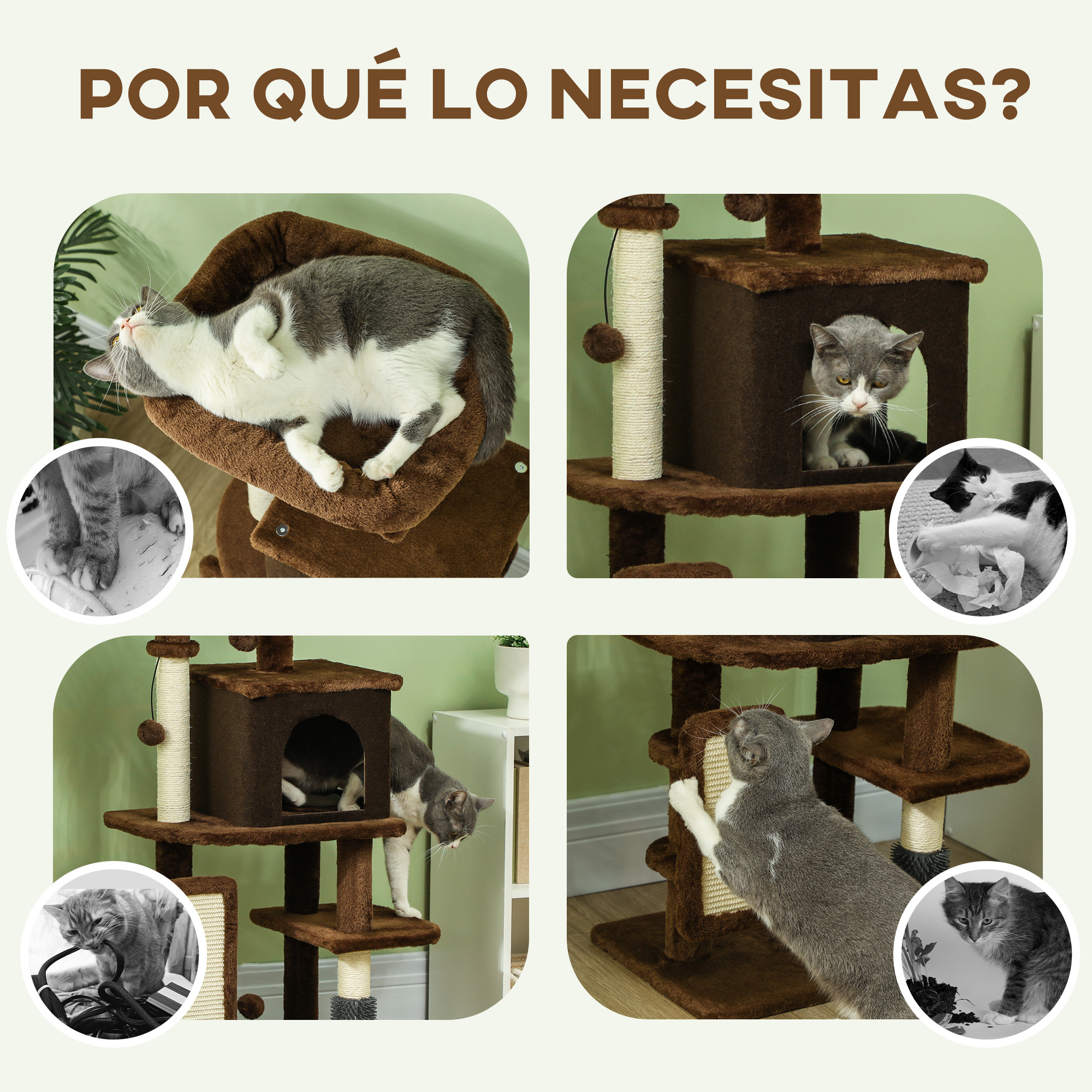 Gatos en un árbol para gatos. Los gatos juegan, descansan y se rascan en el árbol. Incluye inserciones de gatos en blanco y negro.