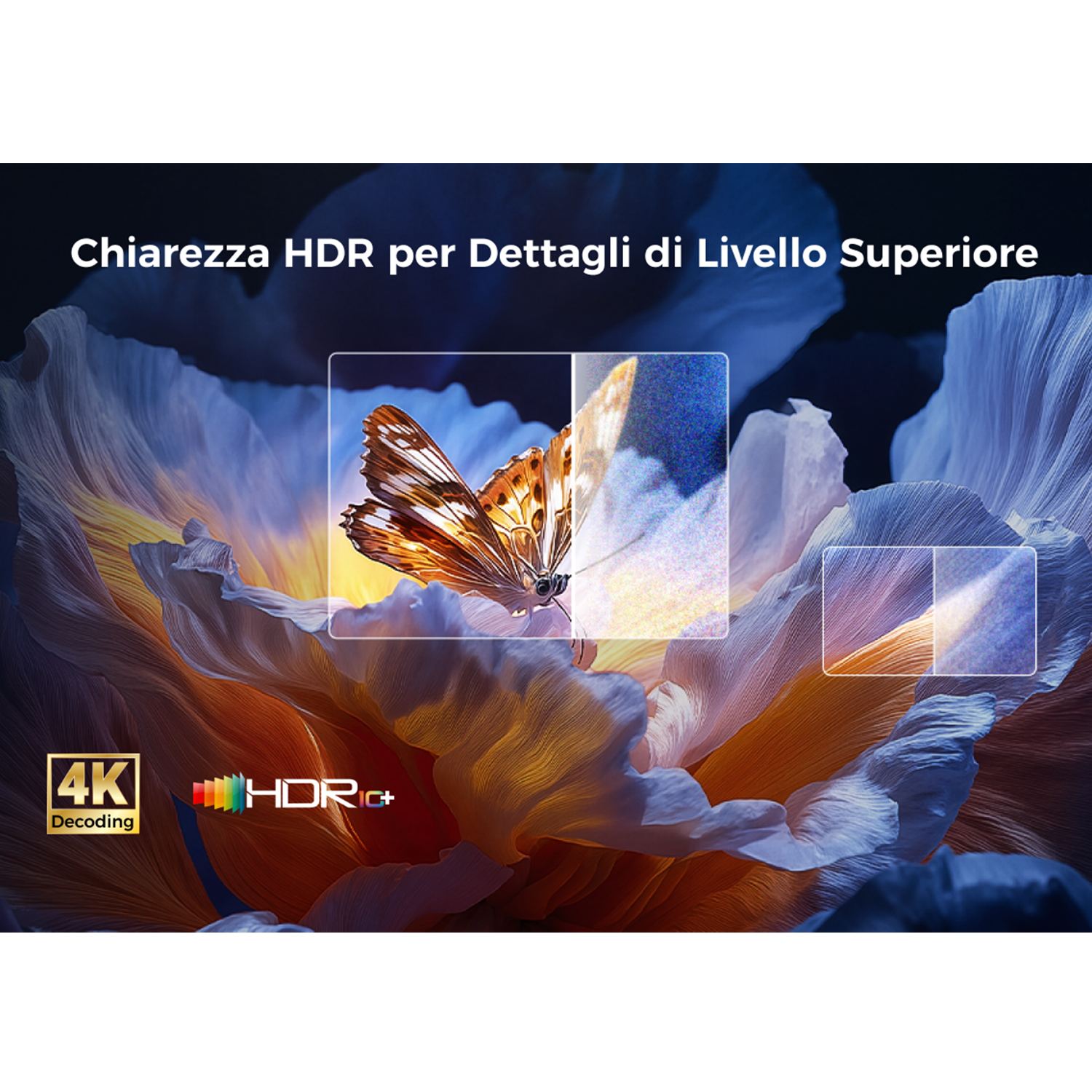 Una farfalla su un fiore, evidenziata su display. Immagine mostra decodifica 4K e HDR+, con testo italiano.
