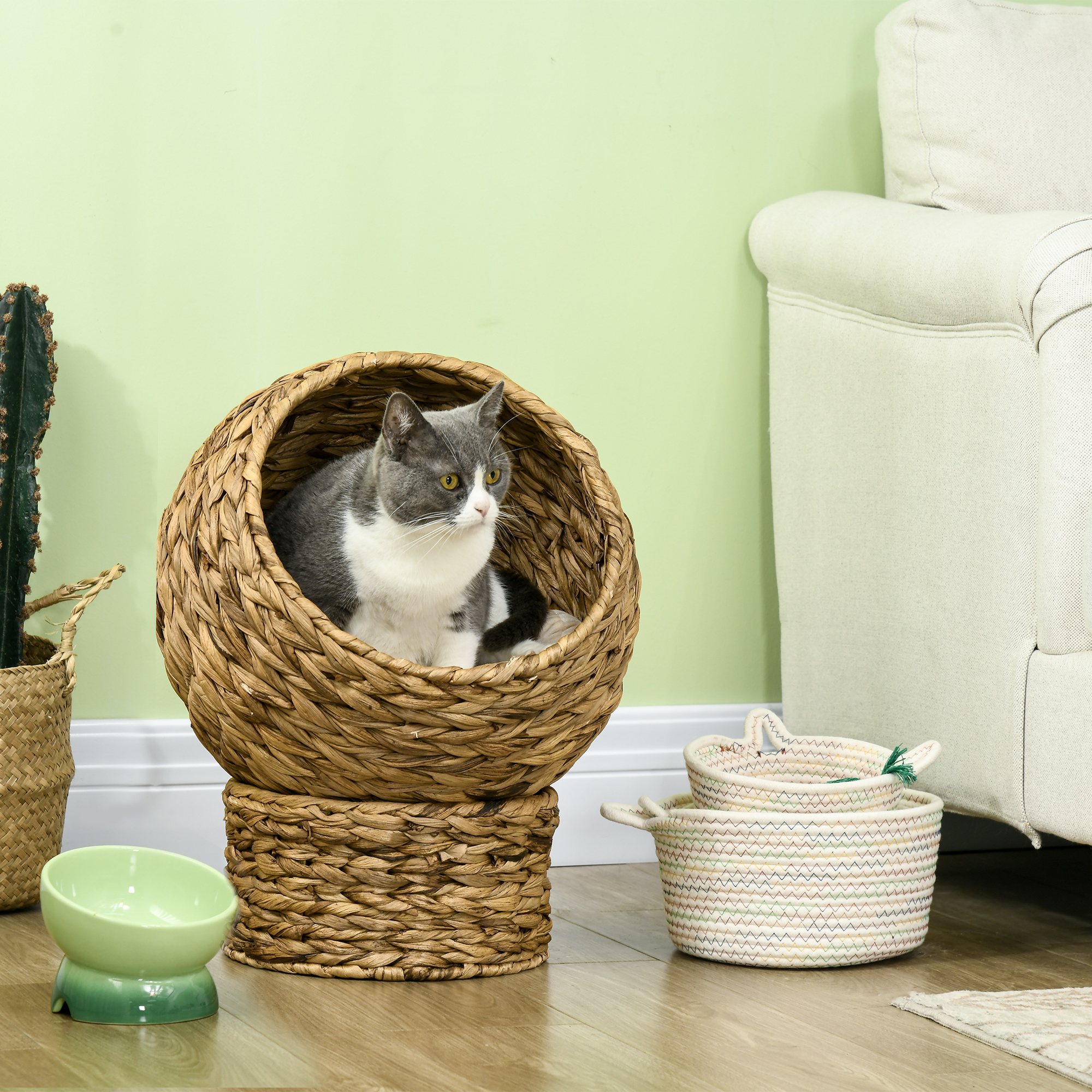 Un gato en una cama de mimbre está en una habitación con pared verde, sofá blanco y algunas cestas.