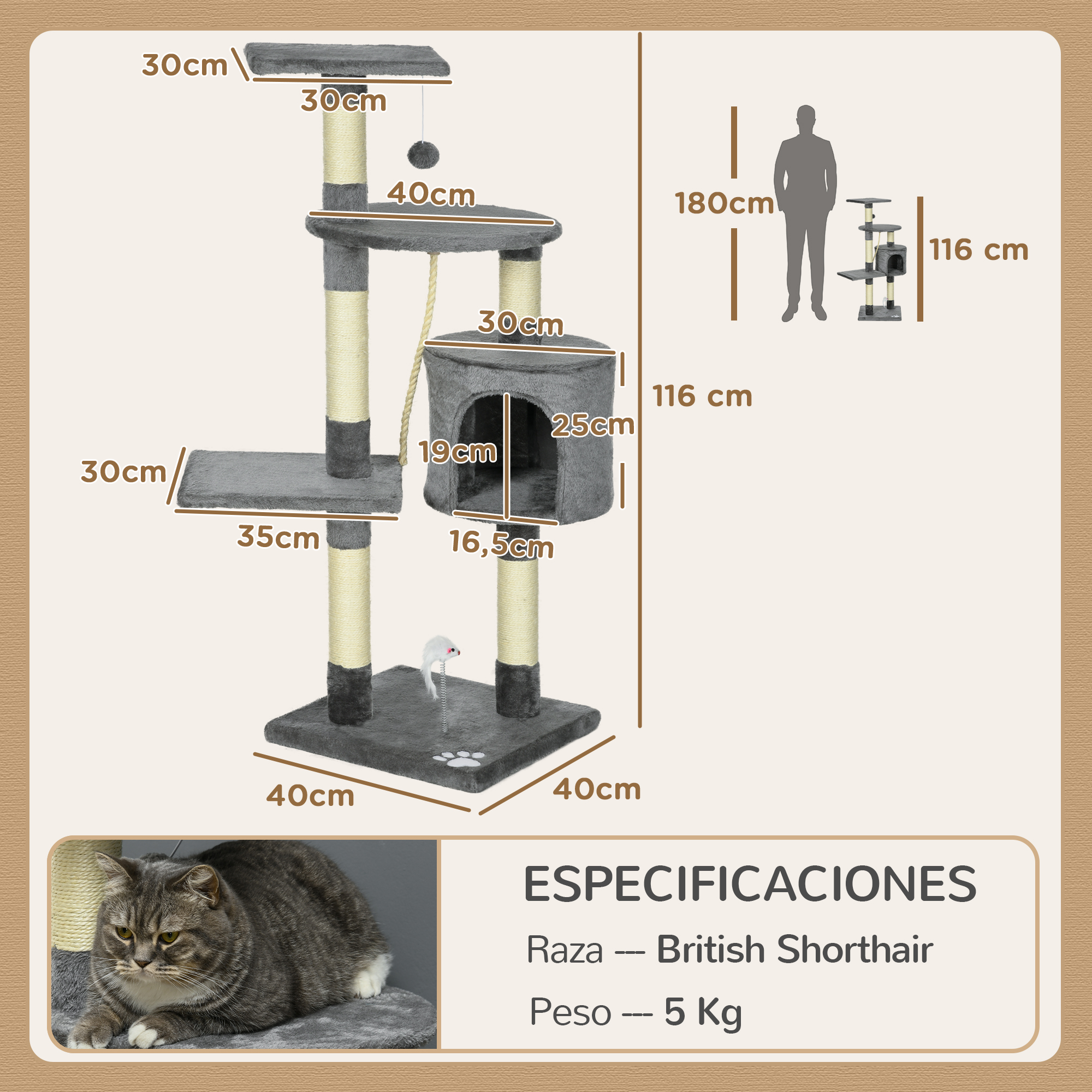 Árbol para gatos con dimensiones. Un gato está acostado en la parte inferior. Las especificaciones indican la raza British Shorthair, que pesa 5 kg.
