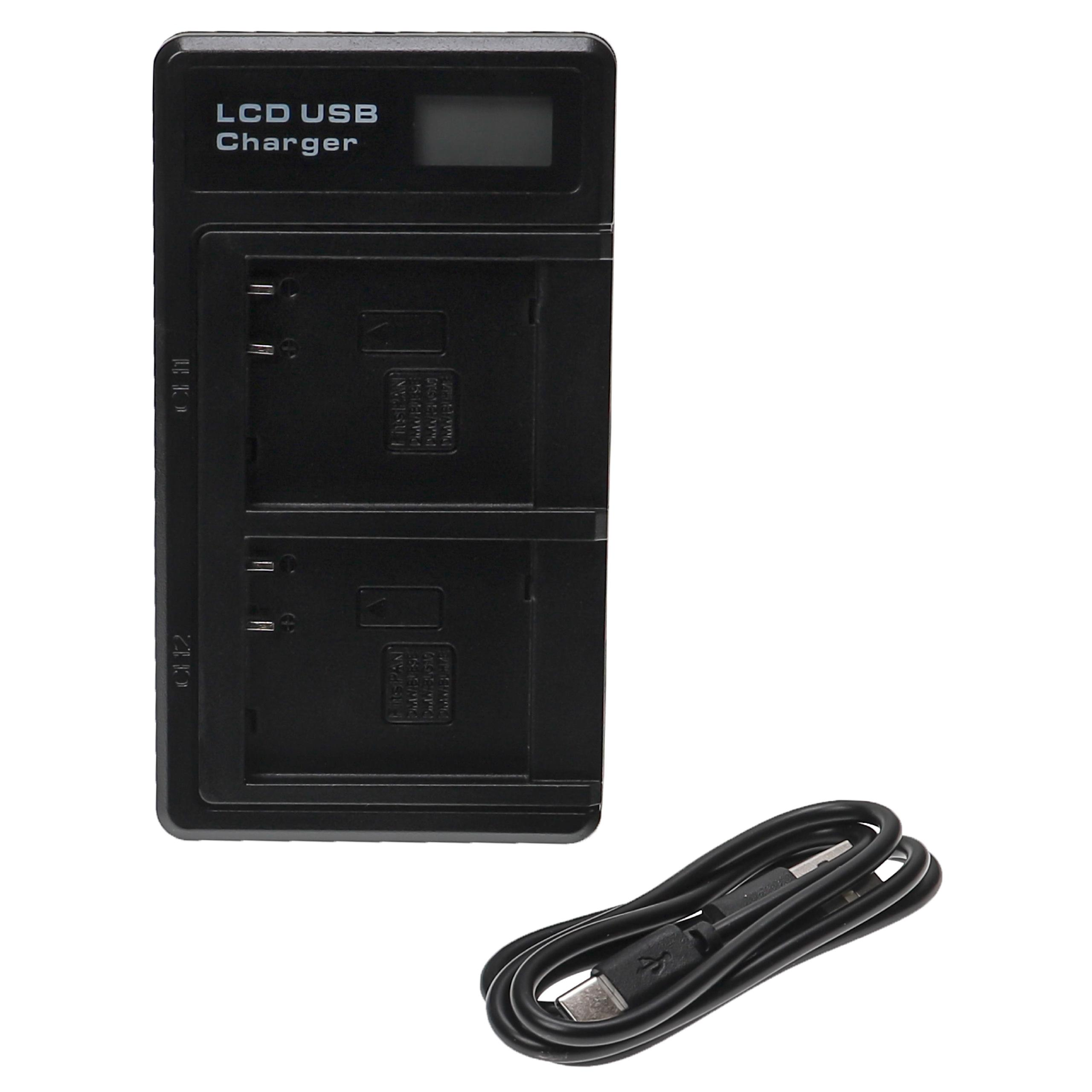 Ein schwarzes LCD-USB-Ladegerät mit Display und zwei Akkufächern. Ein schwarzes USB-Kabel ist daneben auf weißem Grund aufgerollt.
