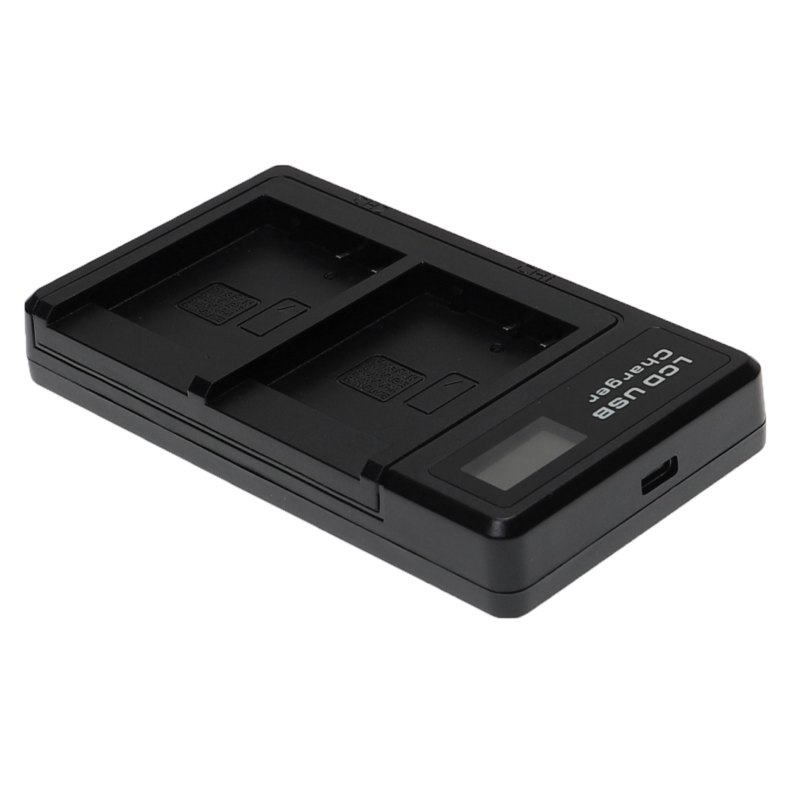 Ein schwarzes LCD-USB-Ladegerät mit zwei Schlitzen für Batterien. Es hat ein digitales Display und einen USB-Anschluss.